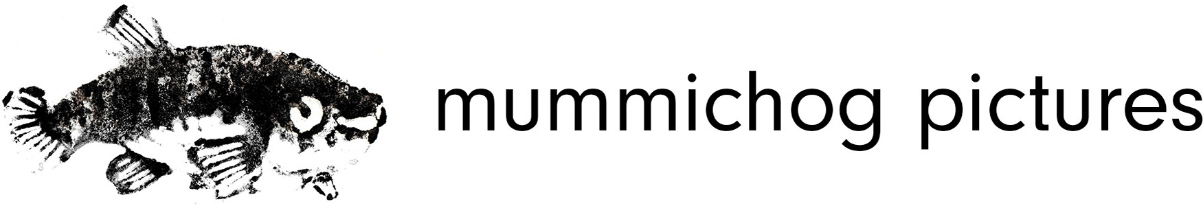 mummichog pictures