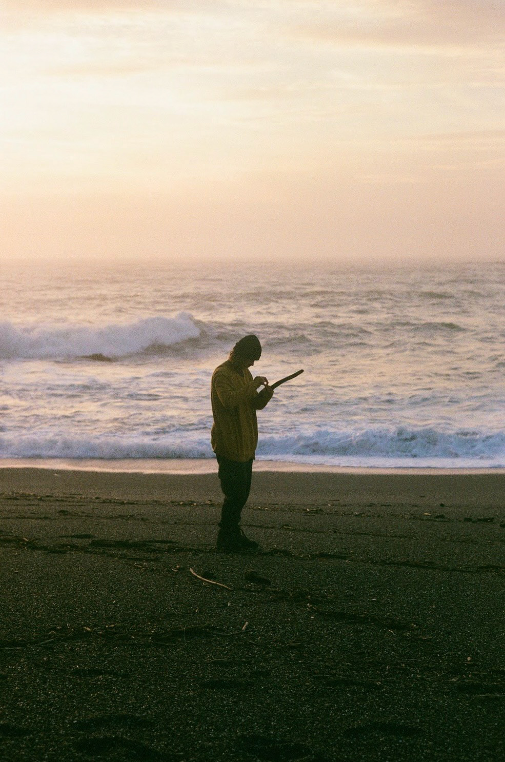 Gualala Point Beach, California