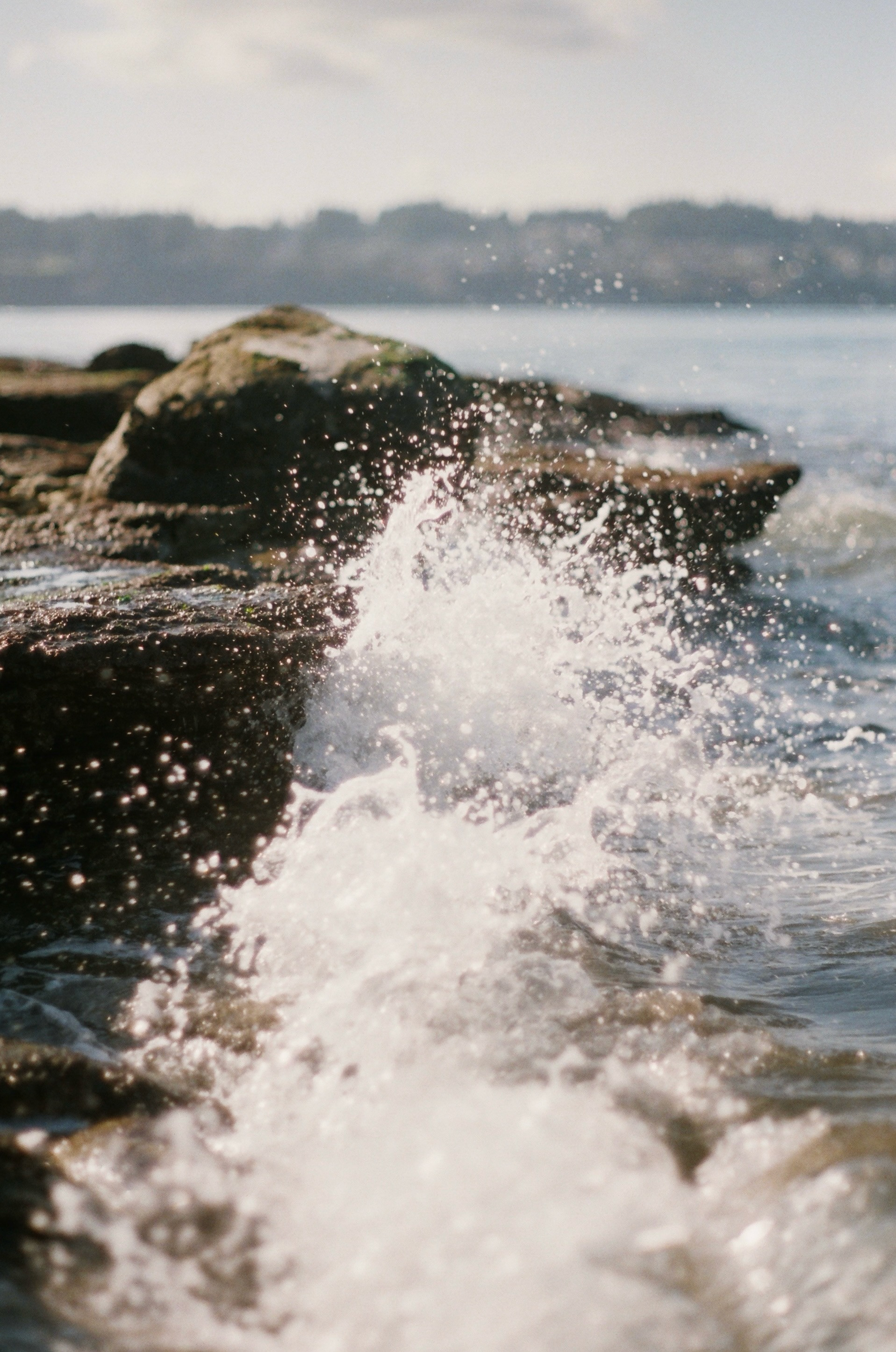 Point Defiance Park, Washington