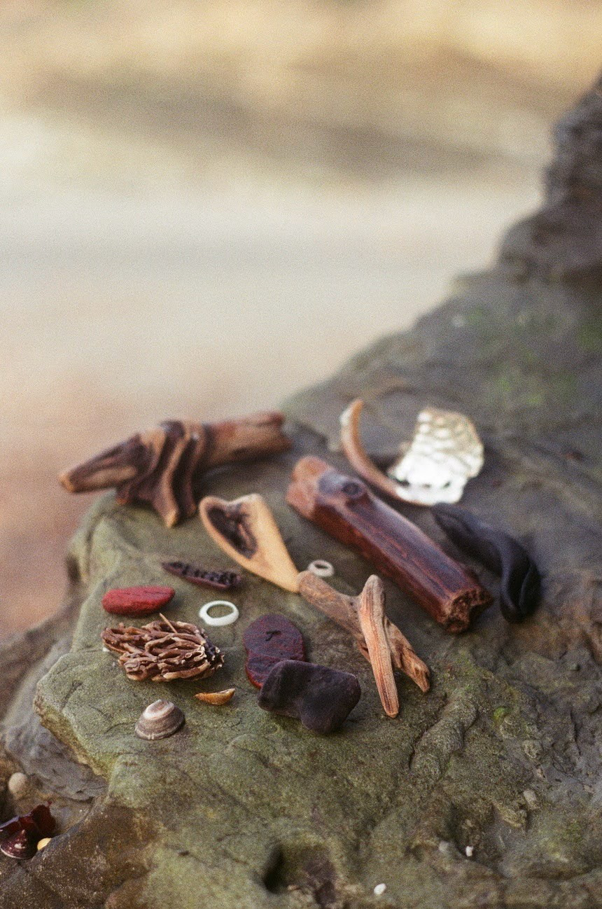 Sea Treasures at Gualala Point Beach, California