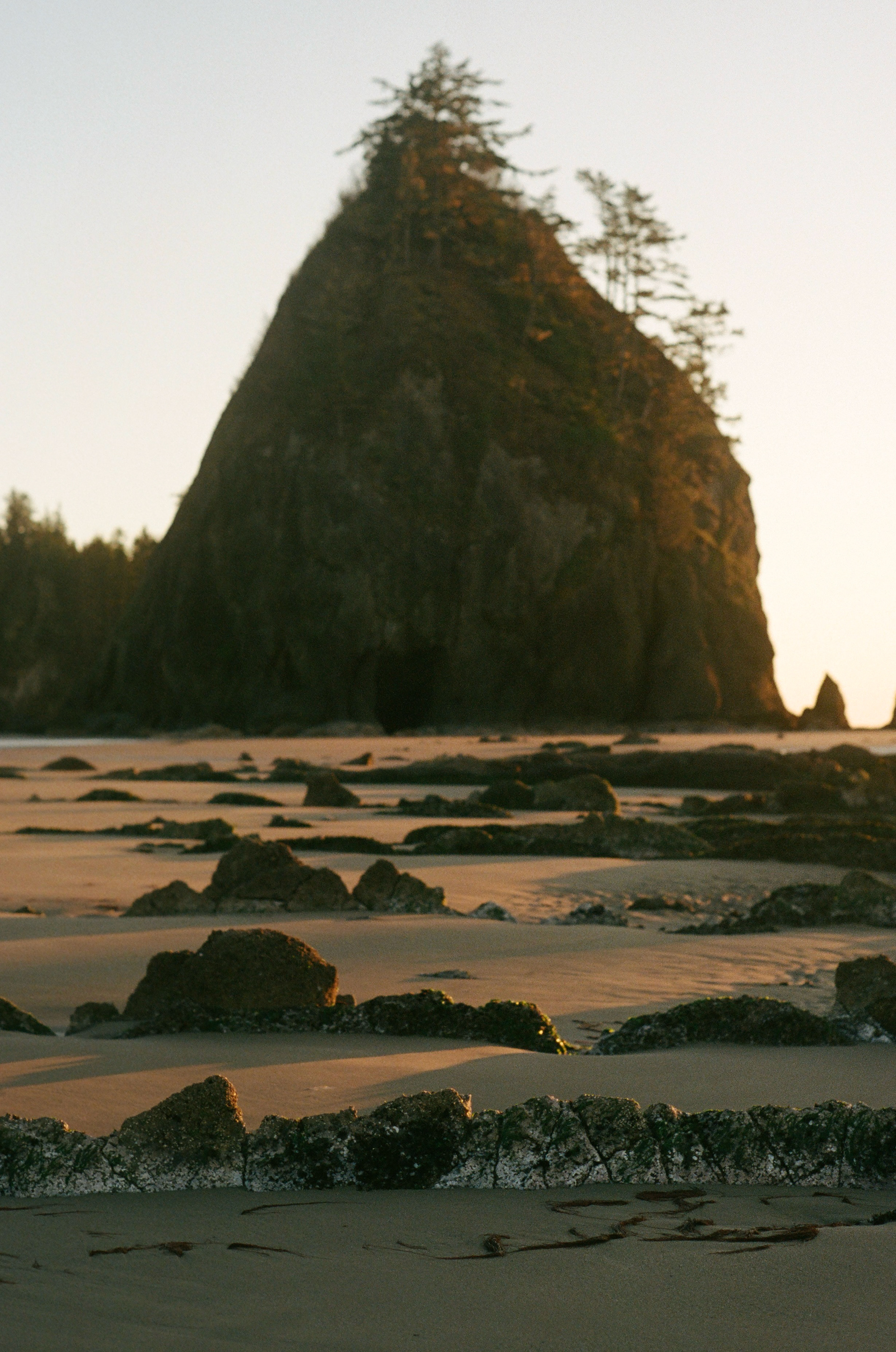 Shi Shi Beach, Washington