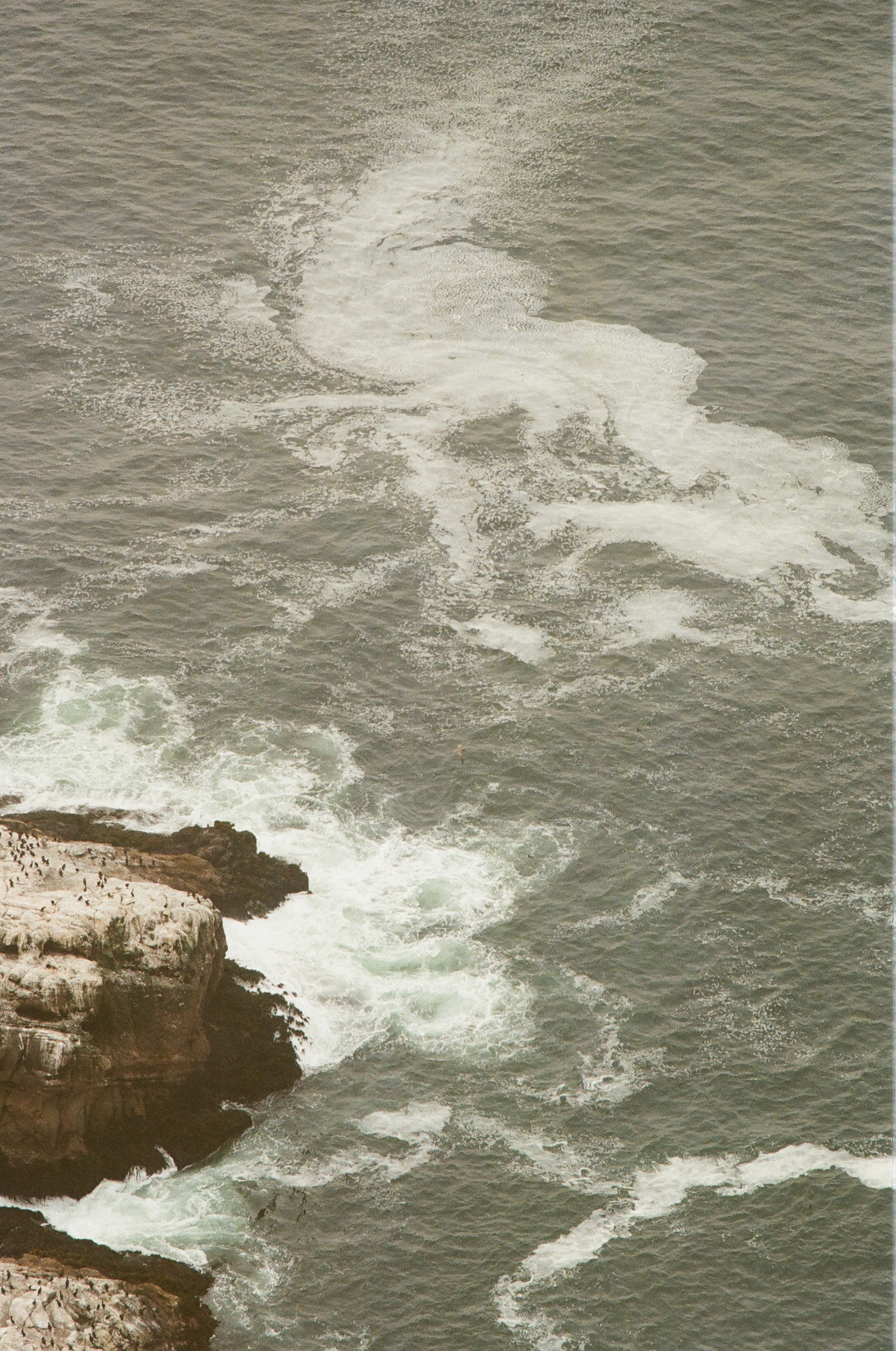 Currents at Point Reyes, California