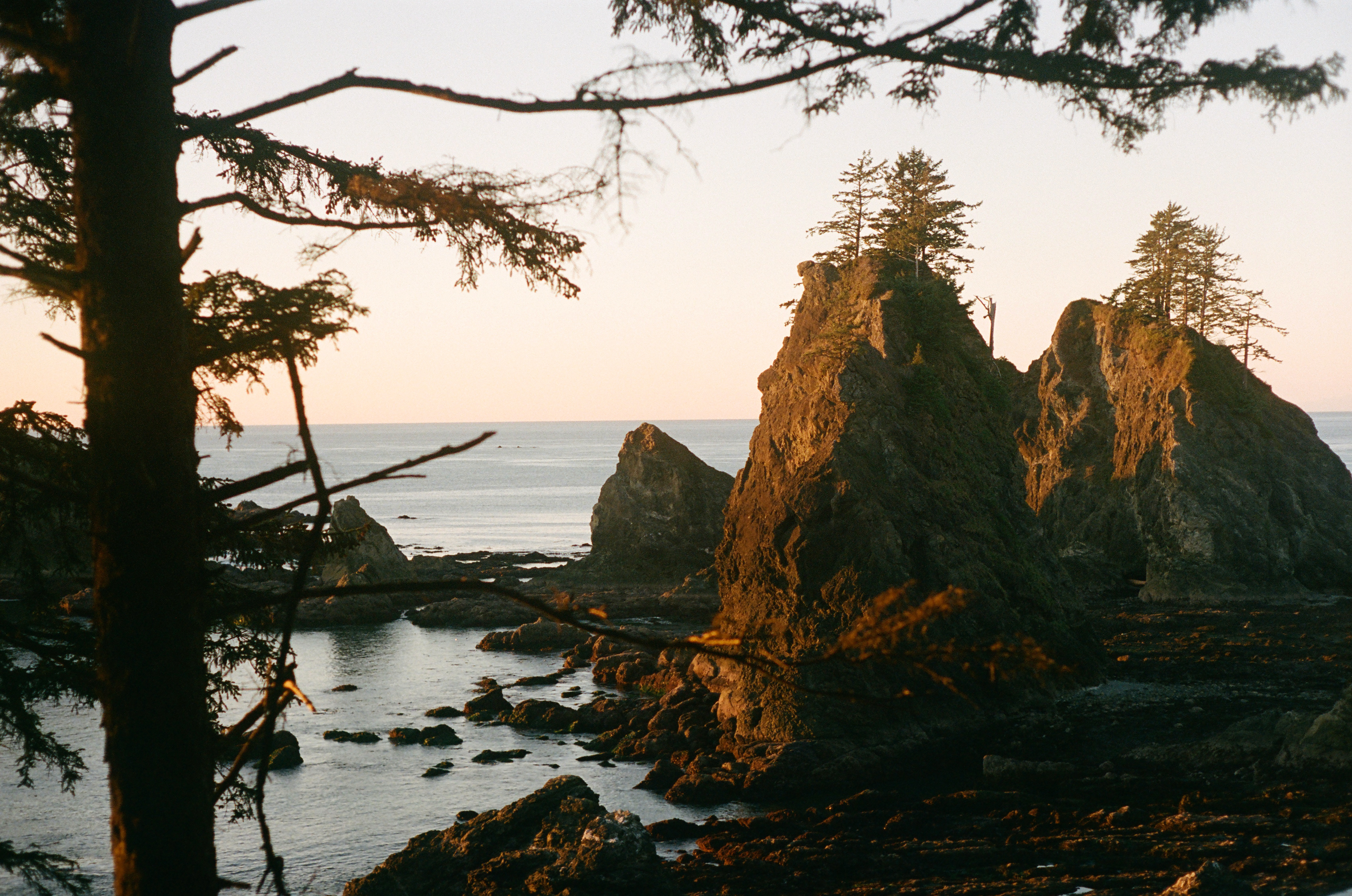 Sea Stacks at Shi Shi Beach, Washington