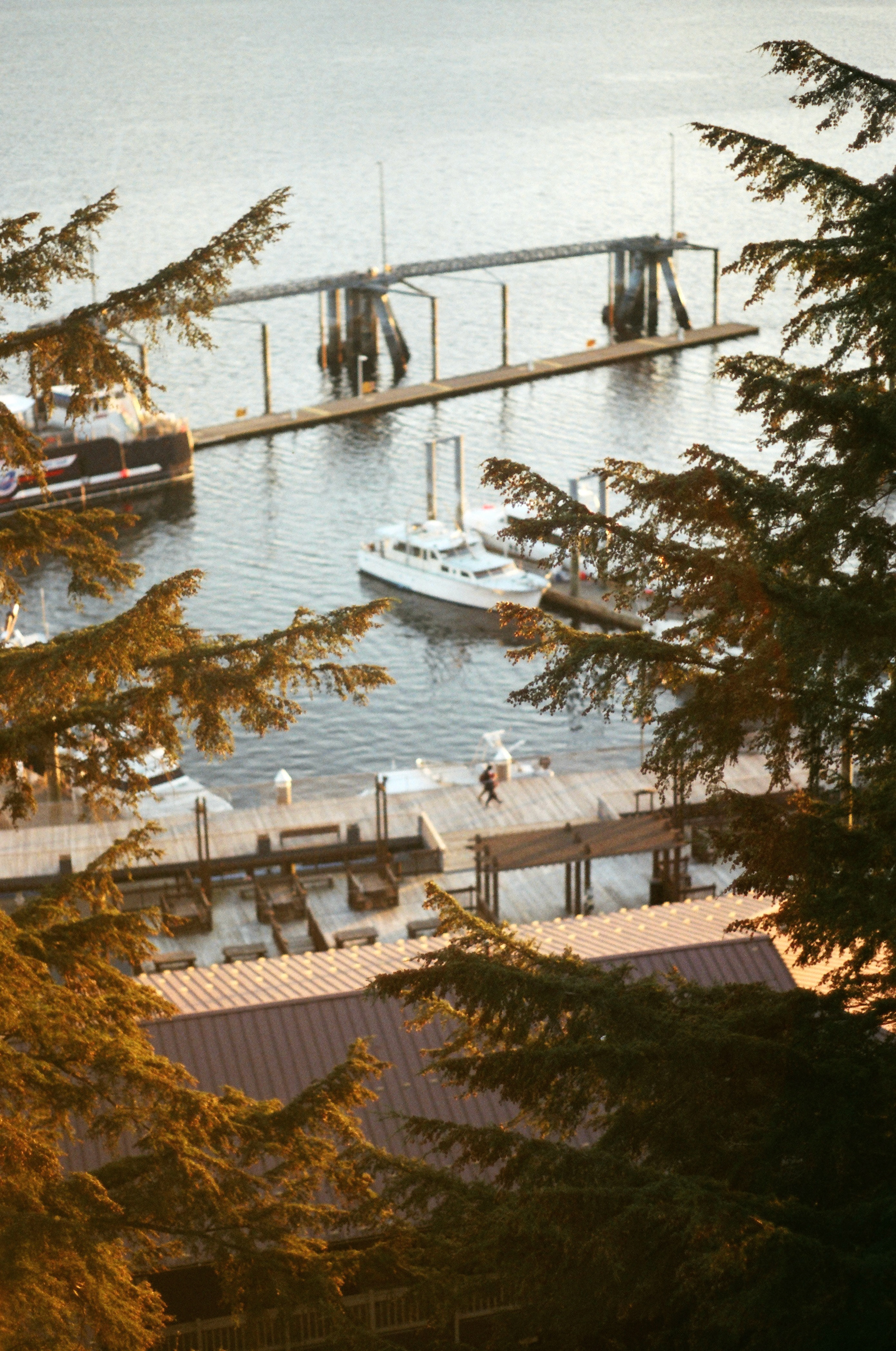 Ketchikan, Alaska