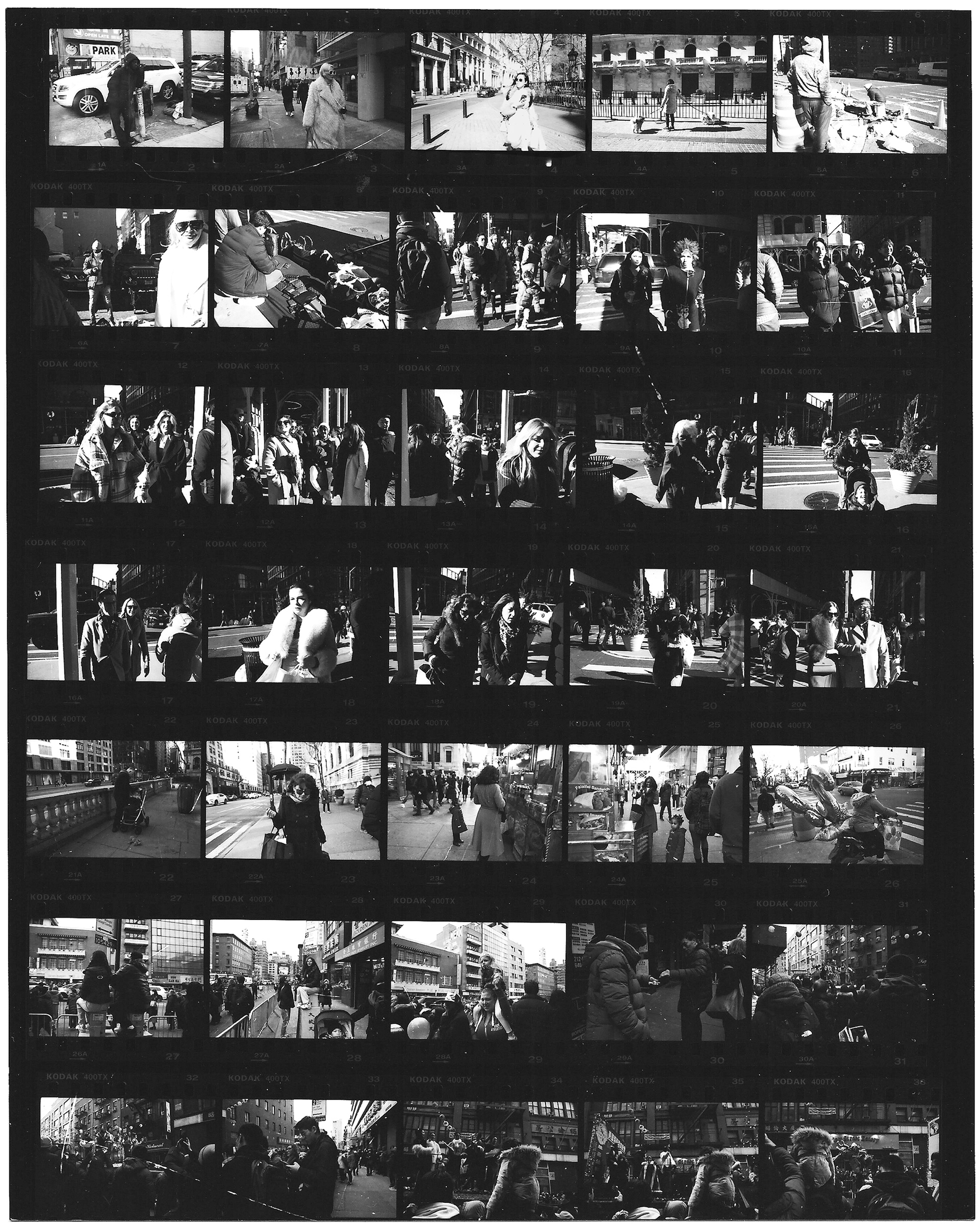 Darkroom Contact Sheet
