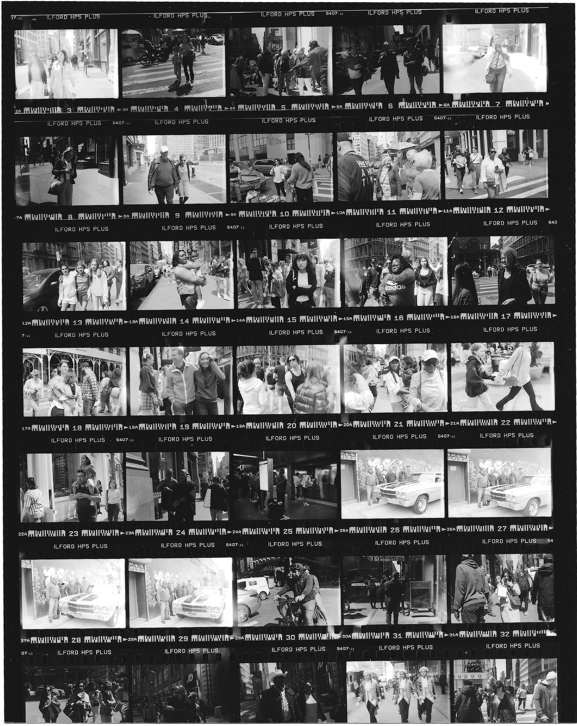 Darkroom Contact Sheet