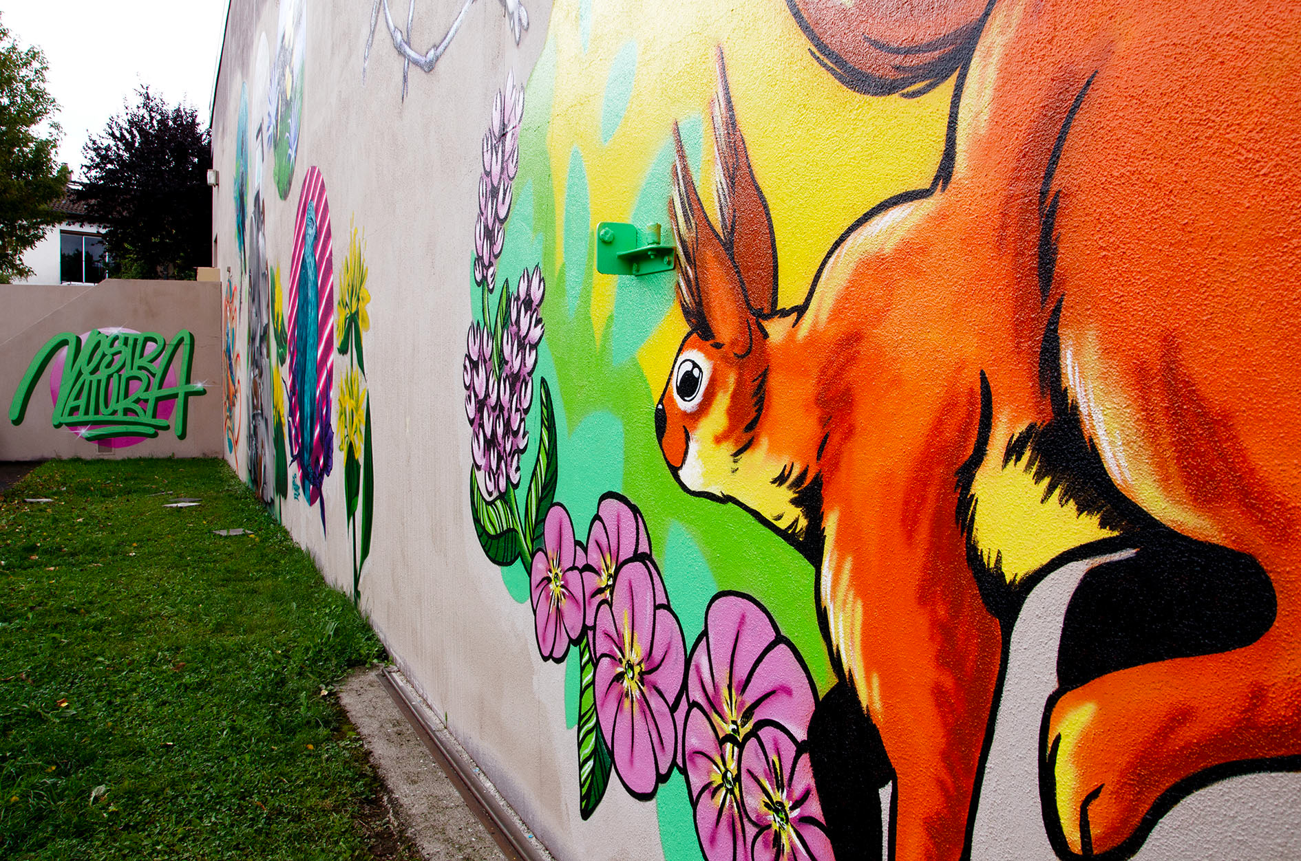 Nostra Natura • Fresque participative pour mettre en avant la biodiversité du Puy-de-Dôme • Illustration à la main