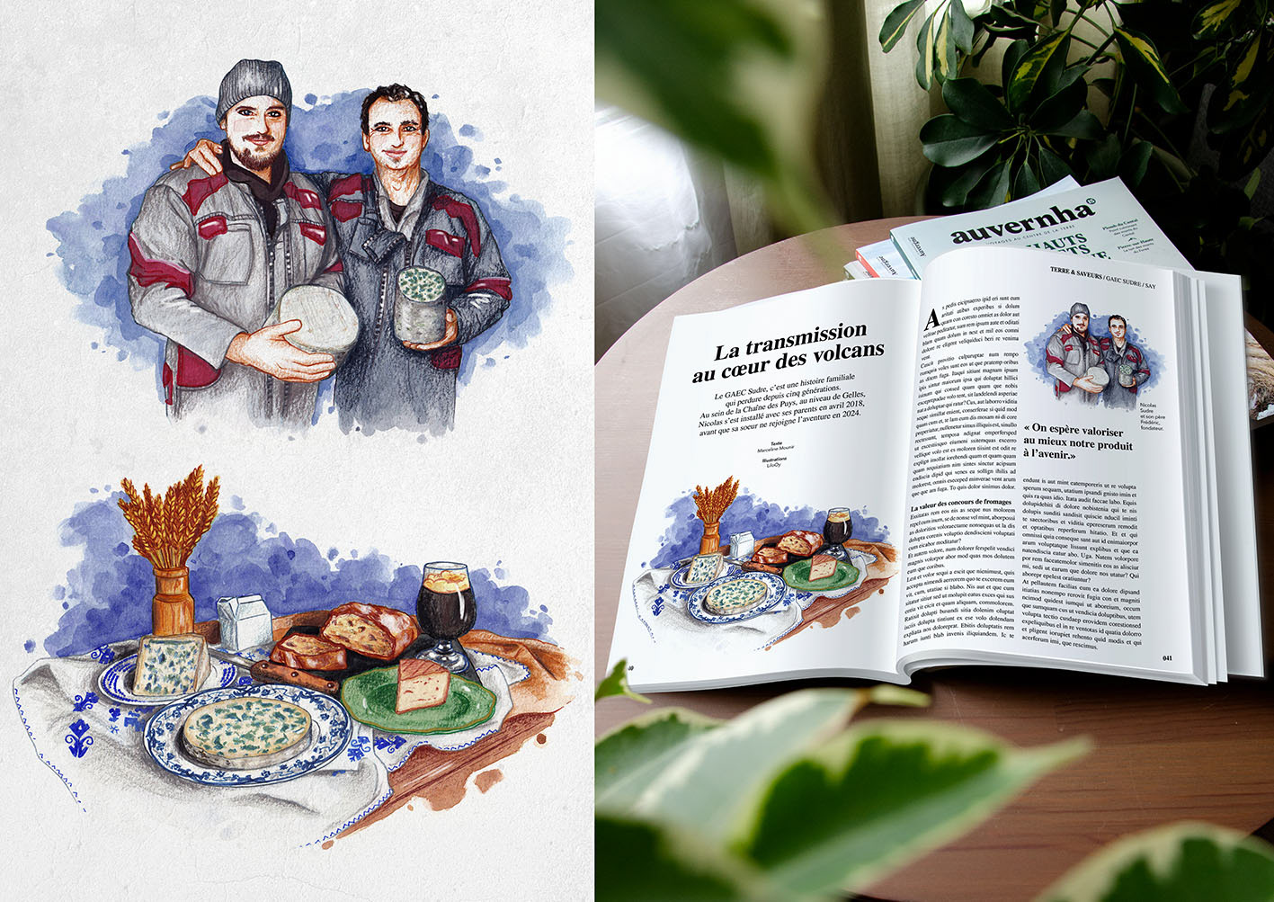 GAEC Sudre • (projet fictif) Réalisation d'illustrations pour alimenter un article du magazine Auvernha.
