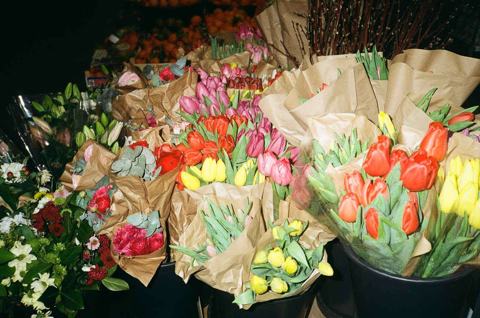 stoke newington, london 2022