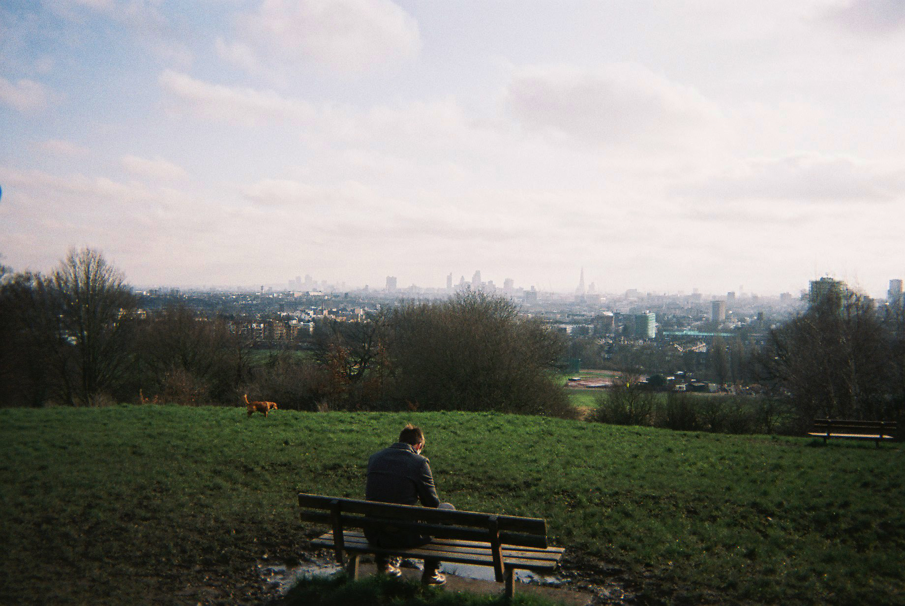 hampstead heath, london 2014