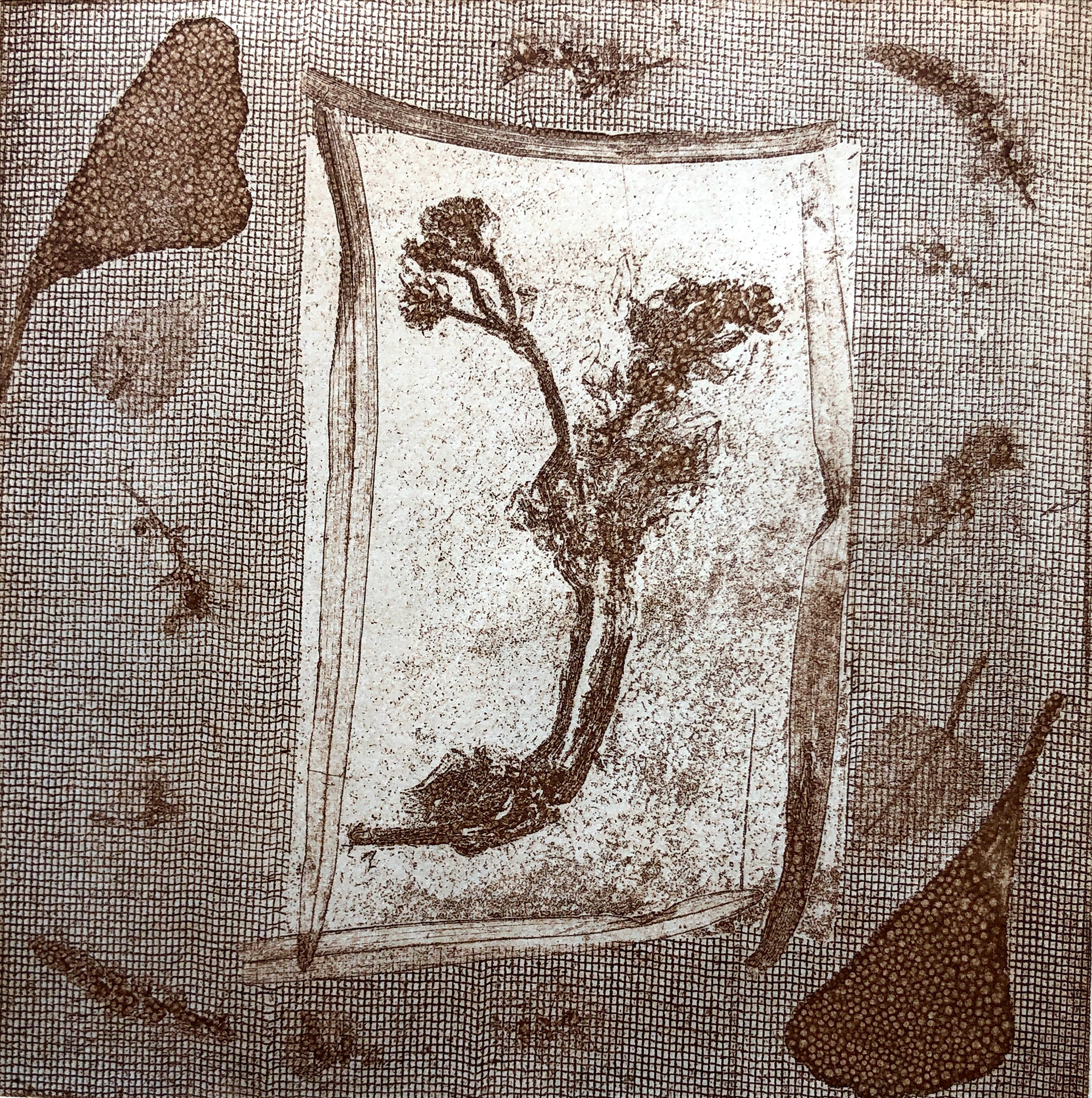 Nature Imprints