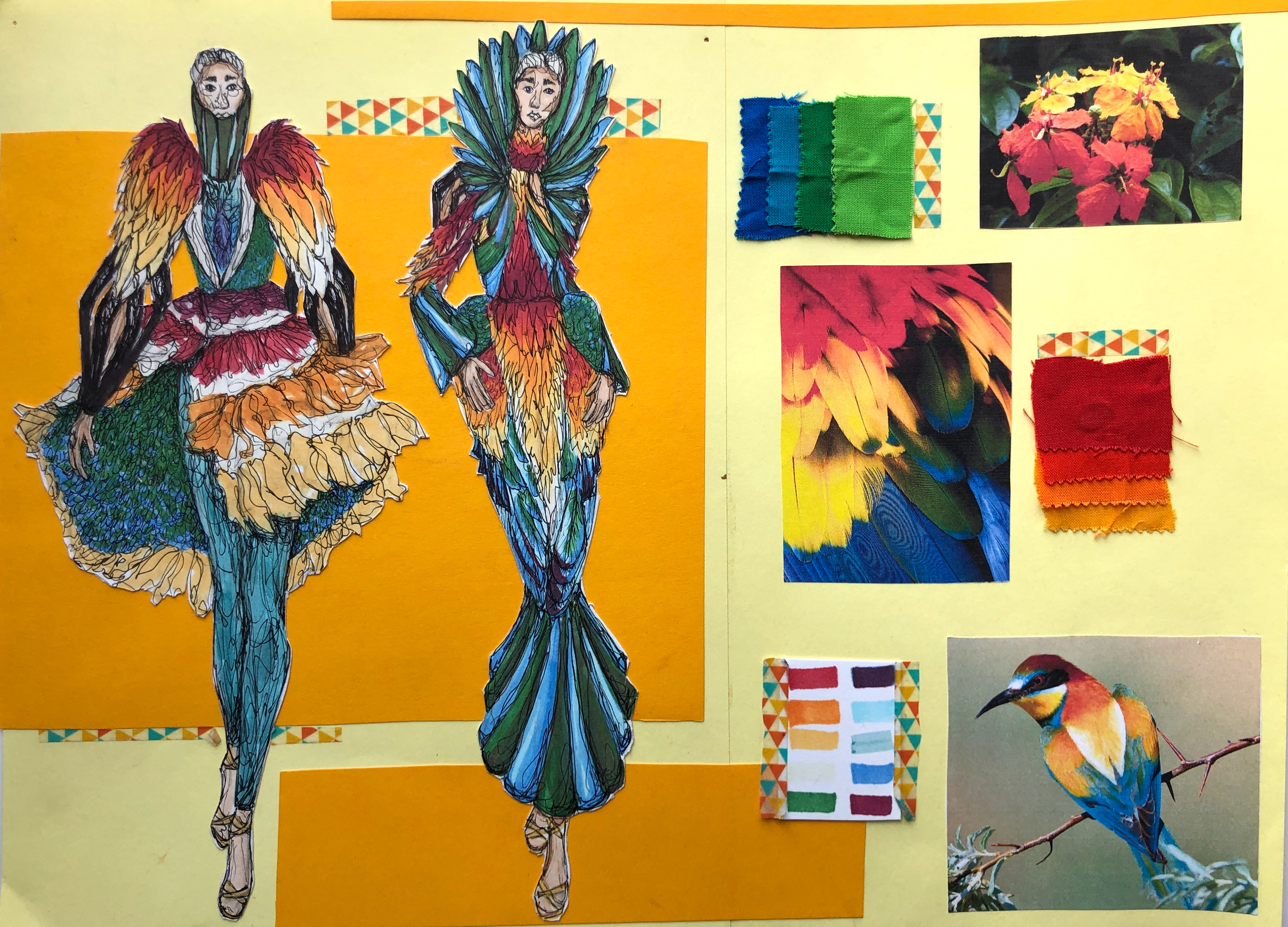 Parrot Inspired Designs