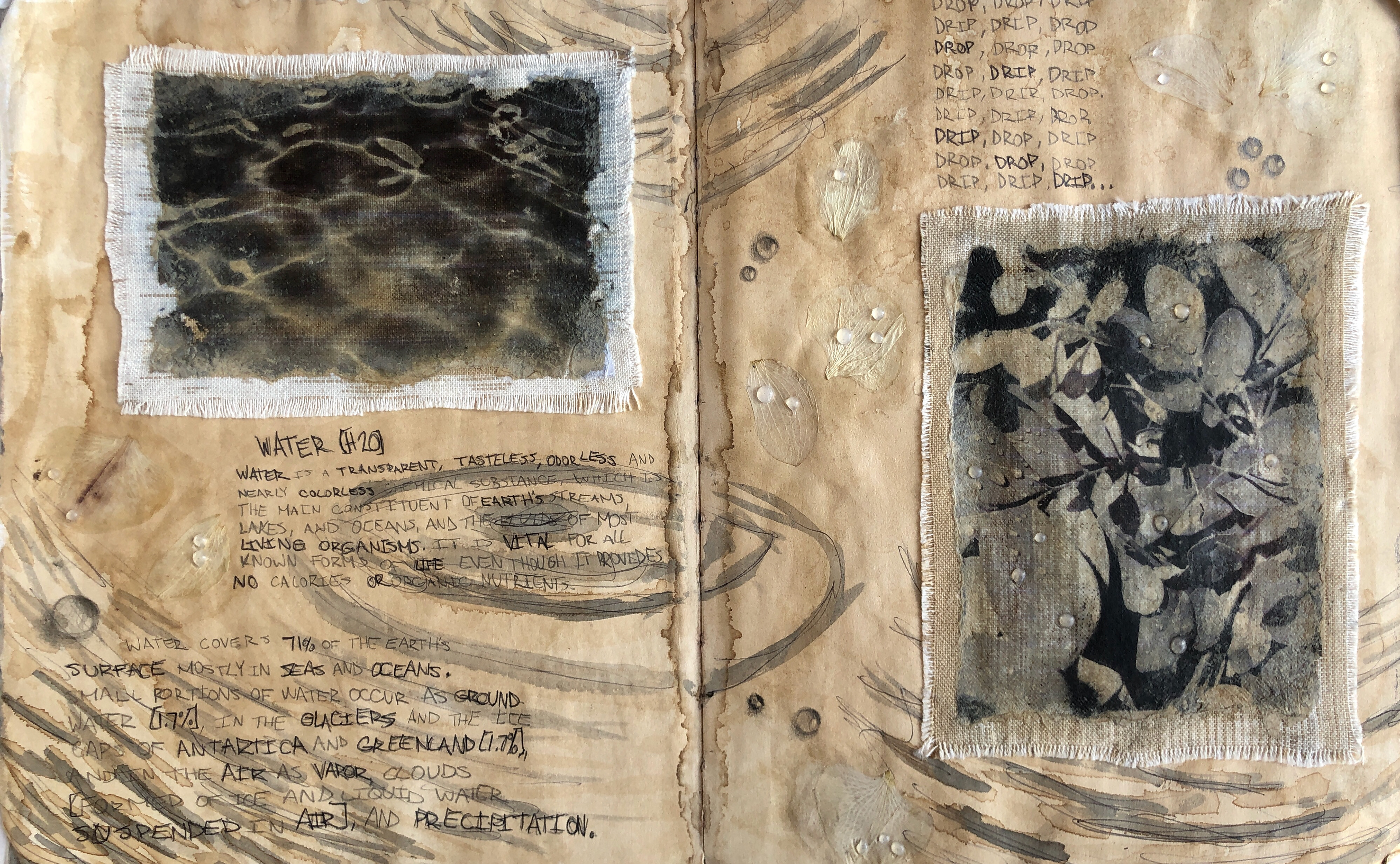 Water and Photomontage Study