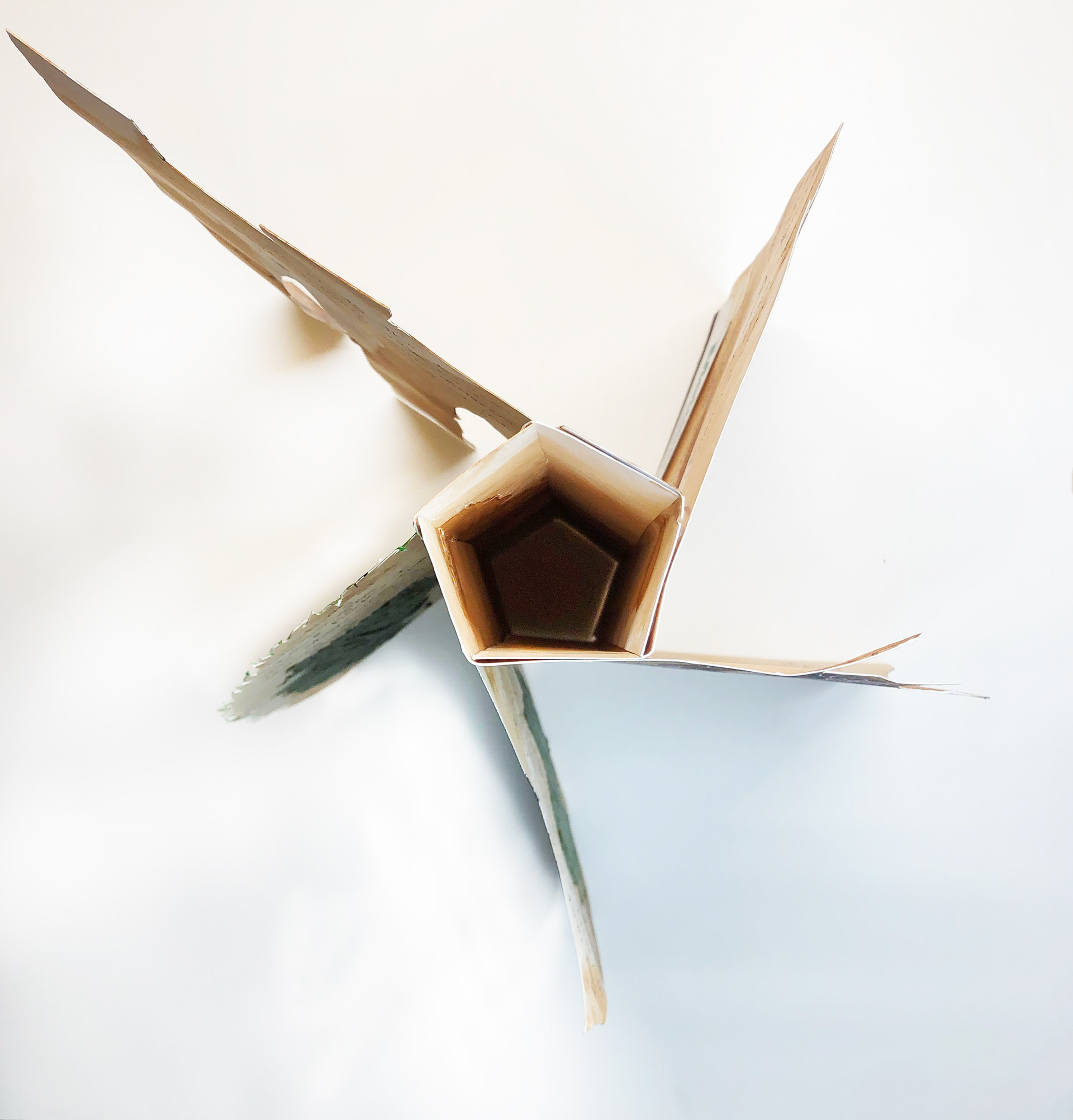 Top View