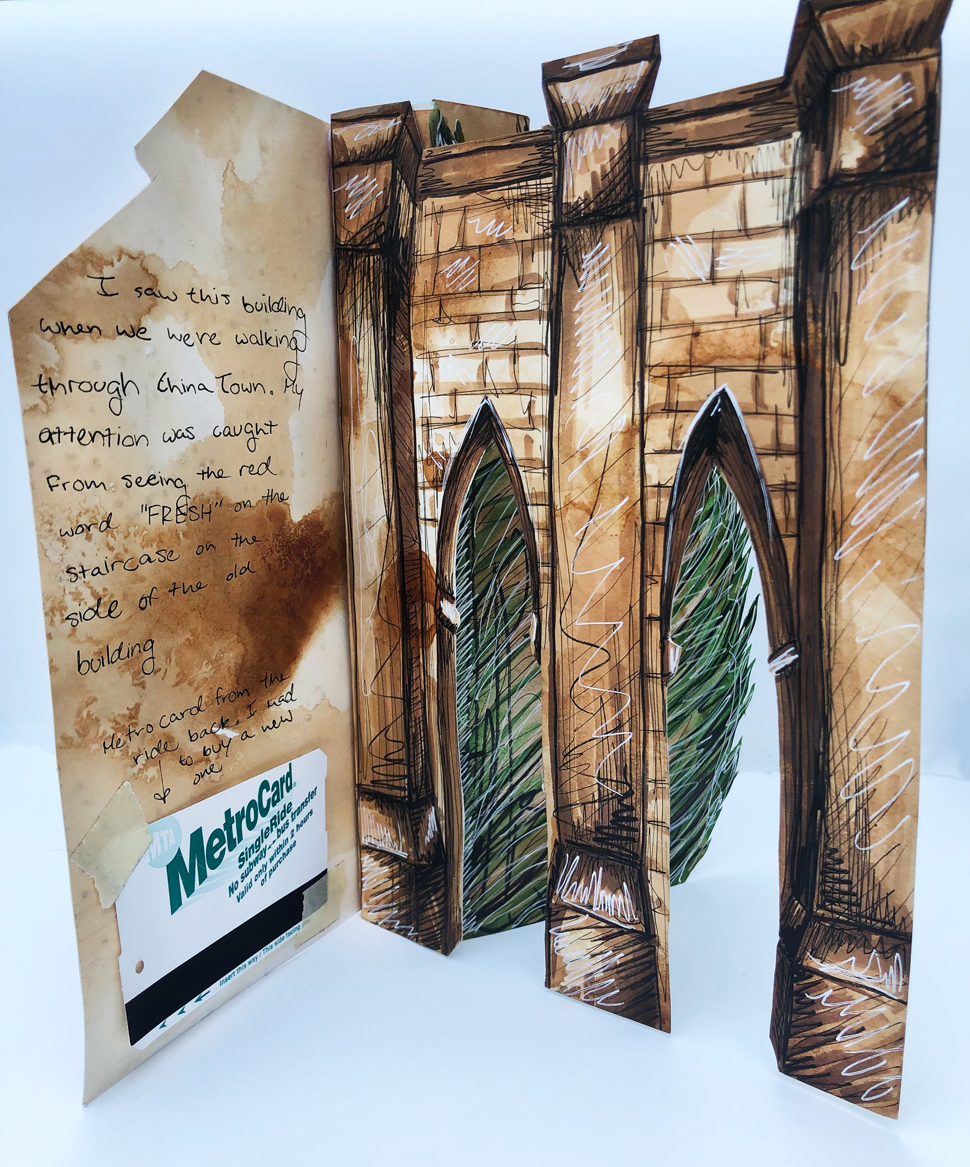 Pages 5-6