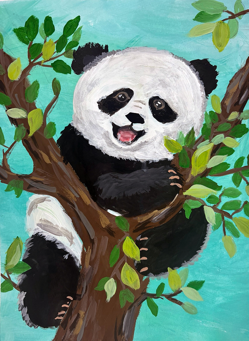 Panda Bear