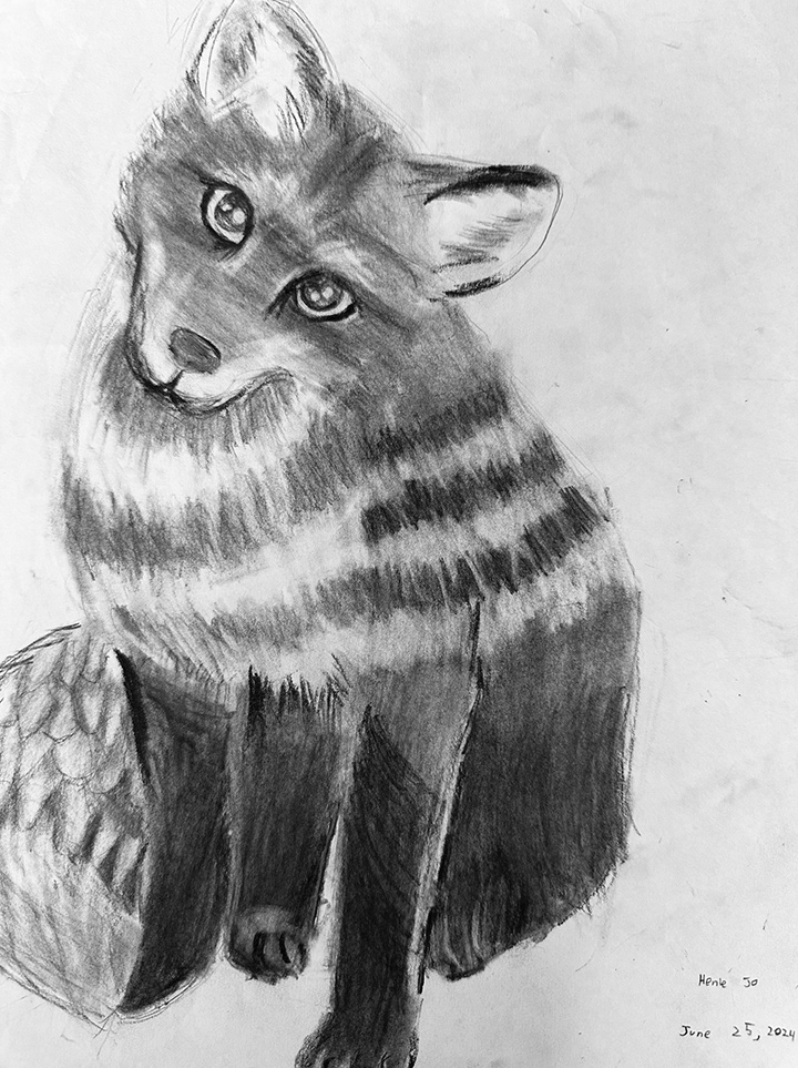 Fox