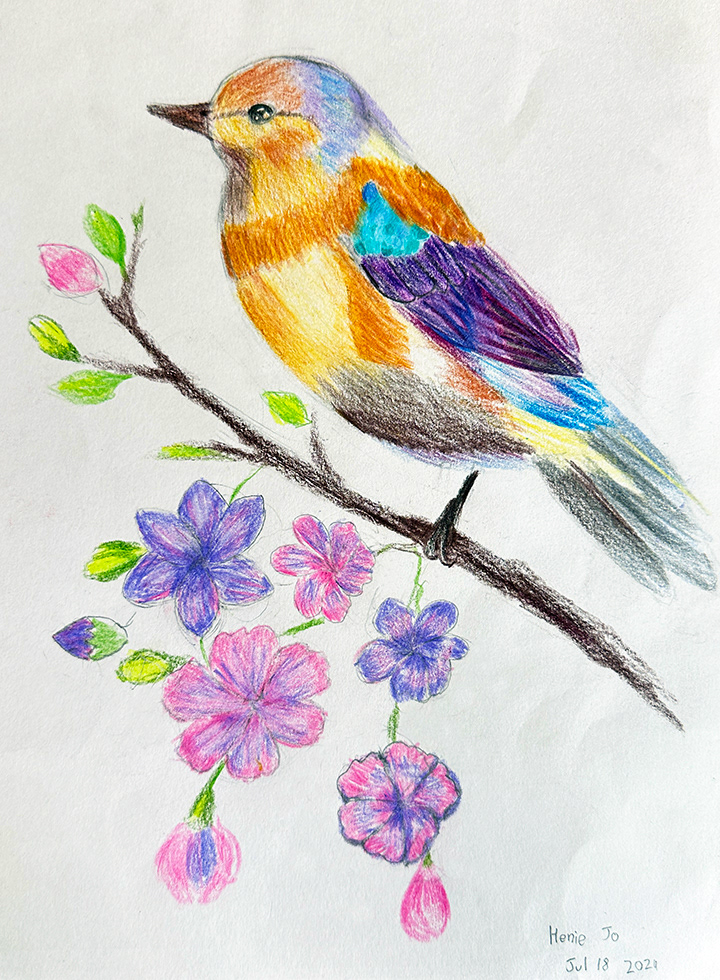 Spngbird