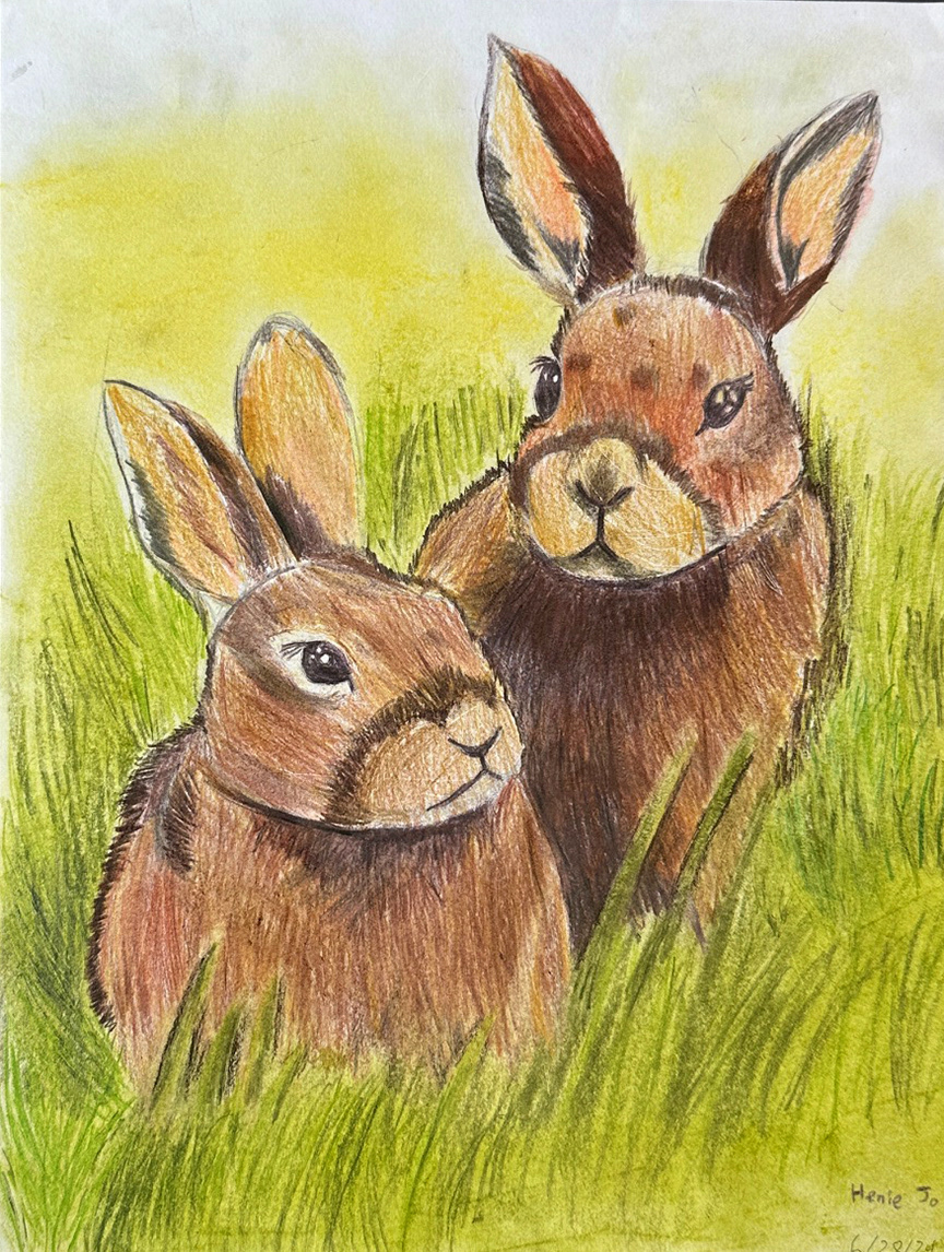 Bunnies