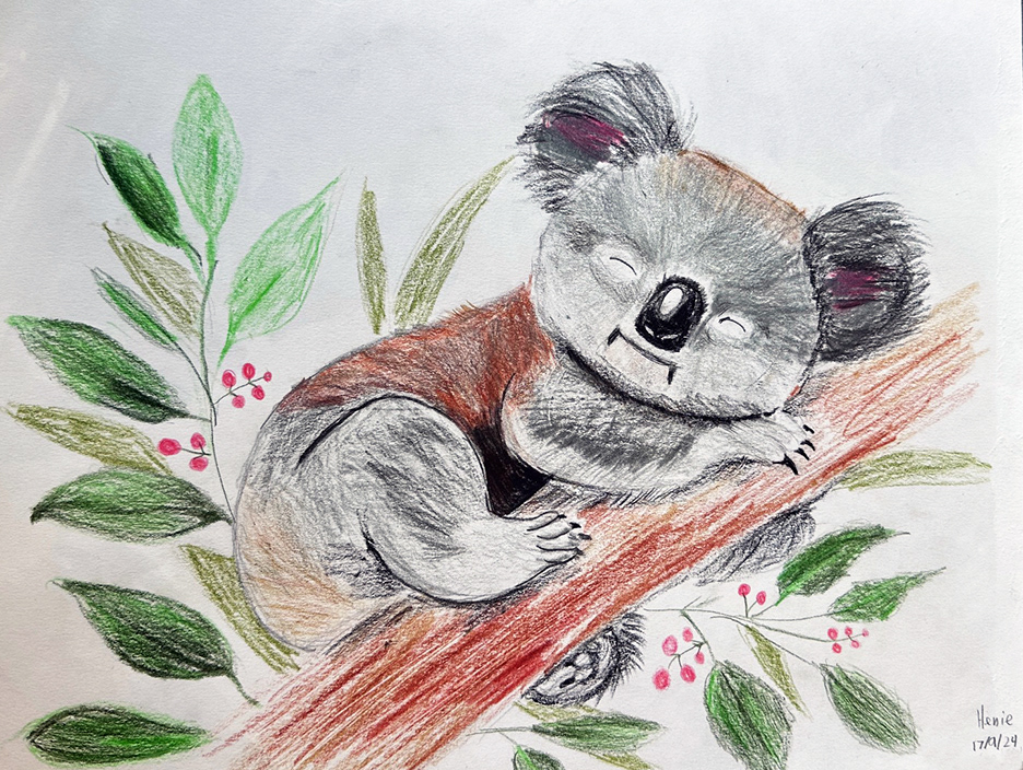 Koala