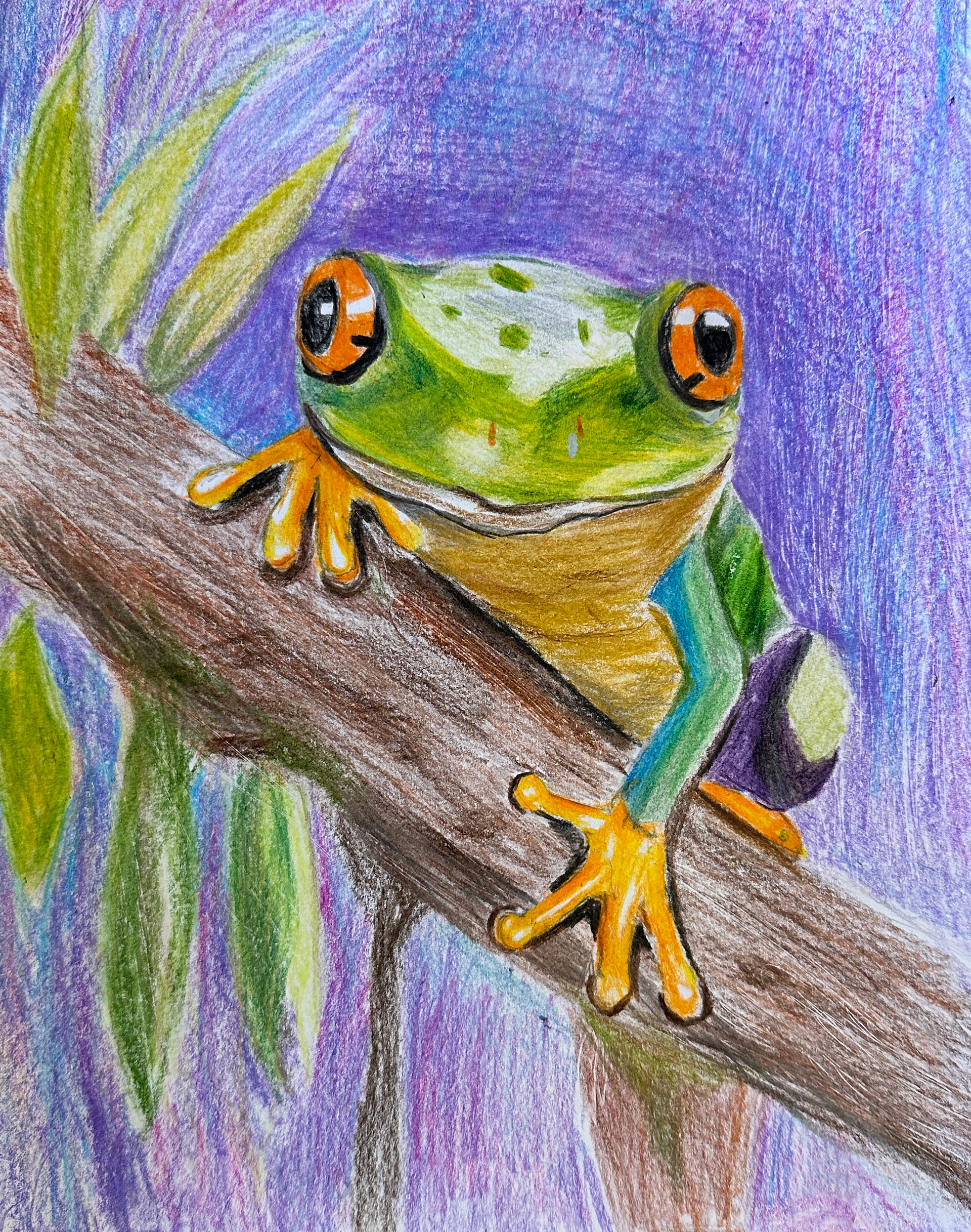 Frog