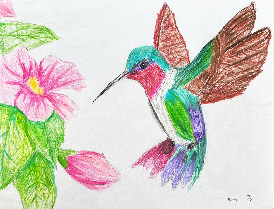 Hummingbird