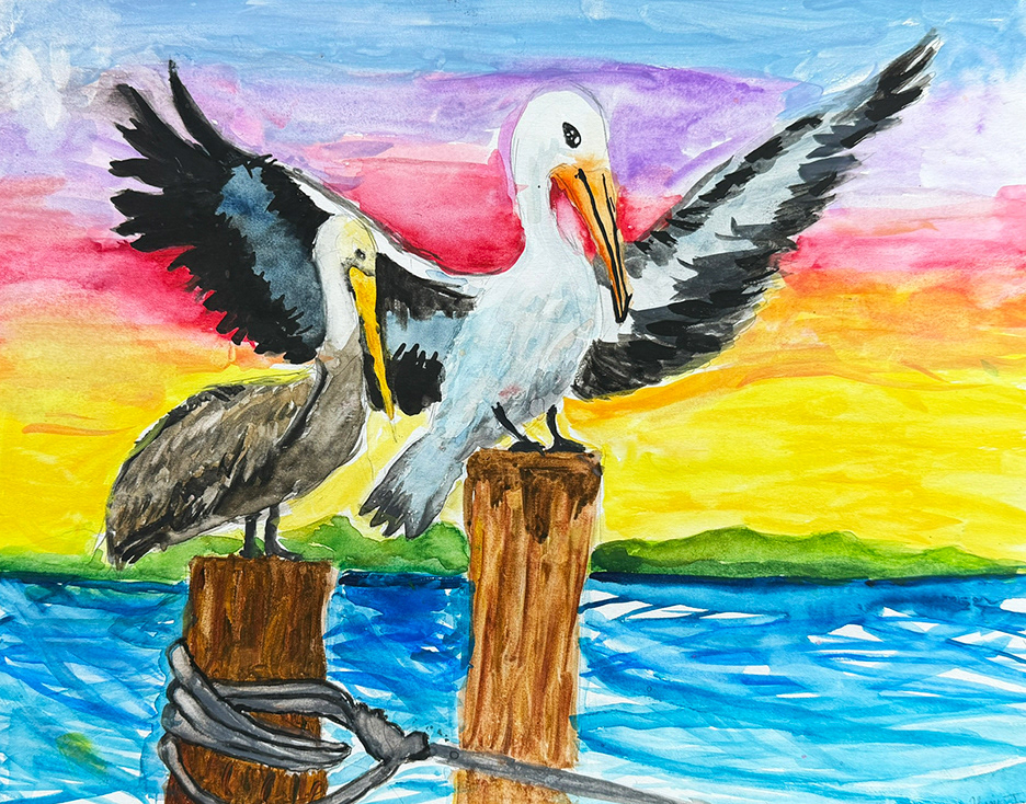 Seagulls