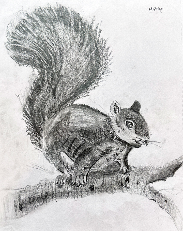 Squirrel