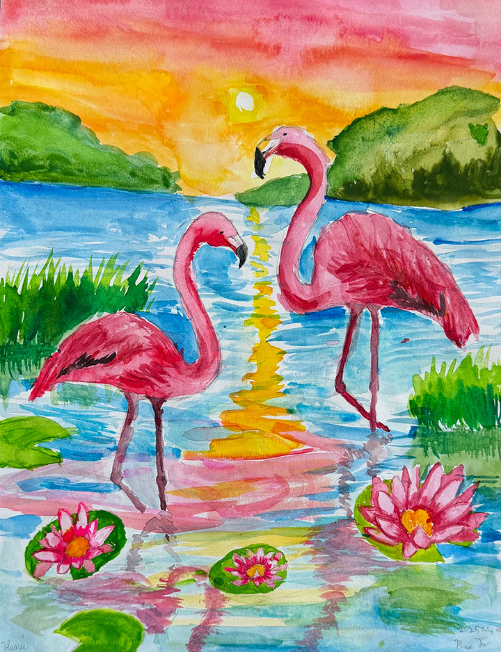Flamingos
