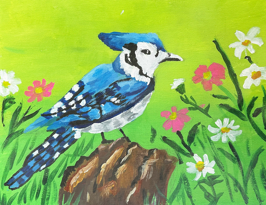 Spring Jay