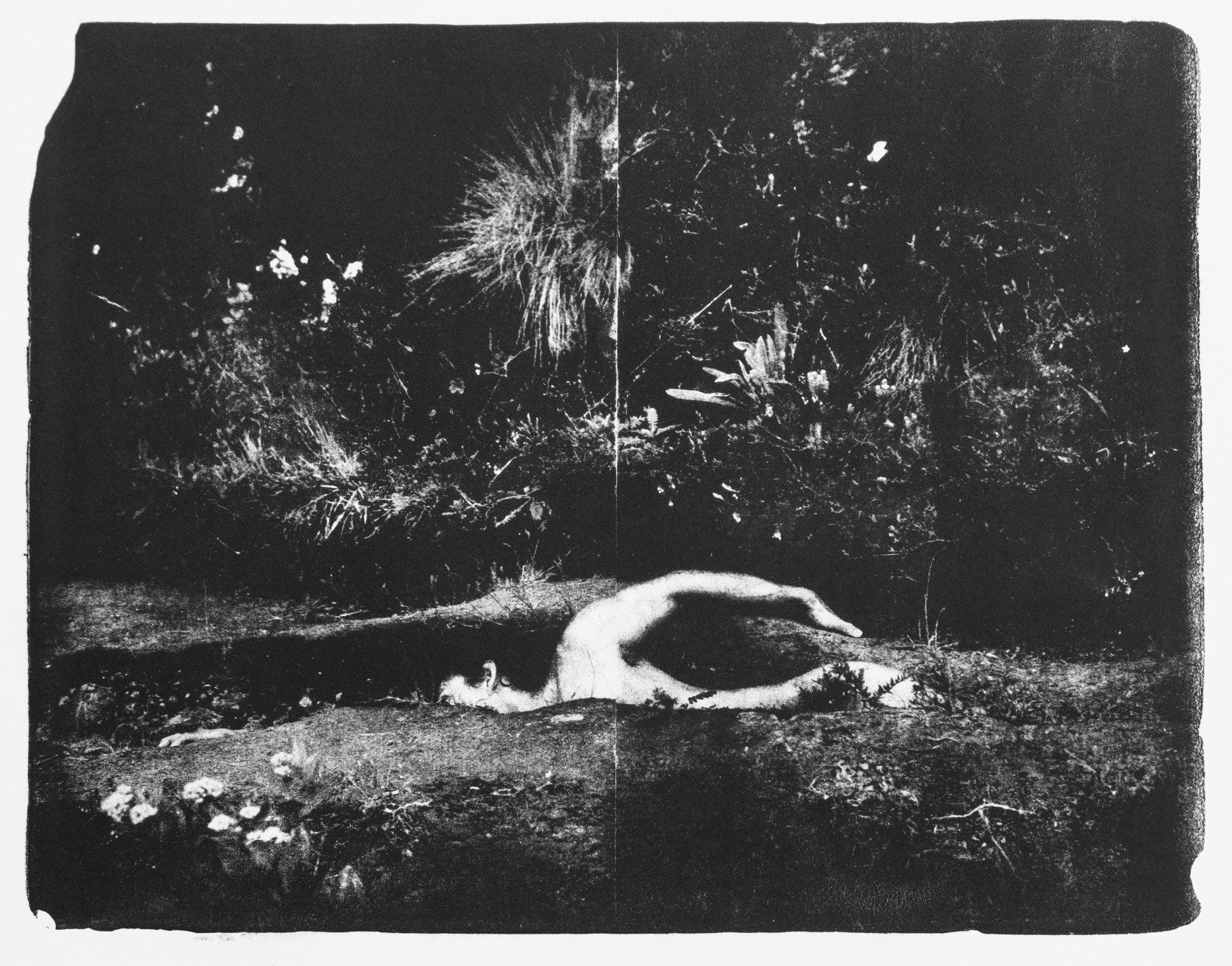 Camilo, consacré à la terre 2