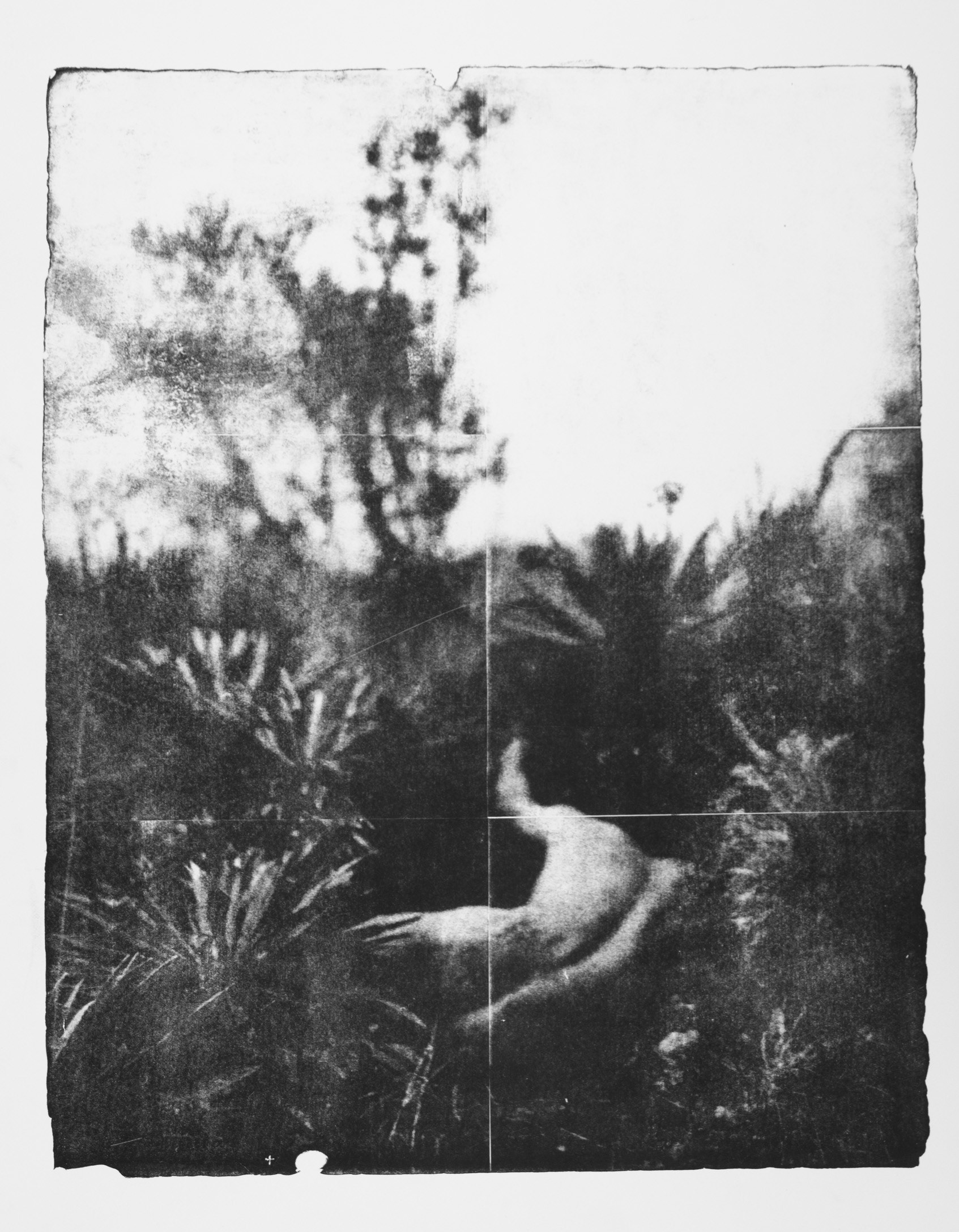 Camilo, consacré à la terre 1