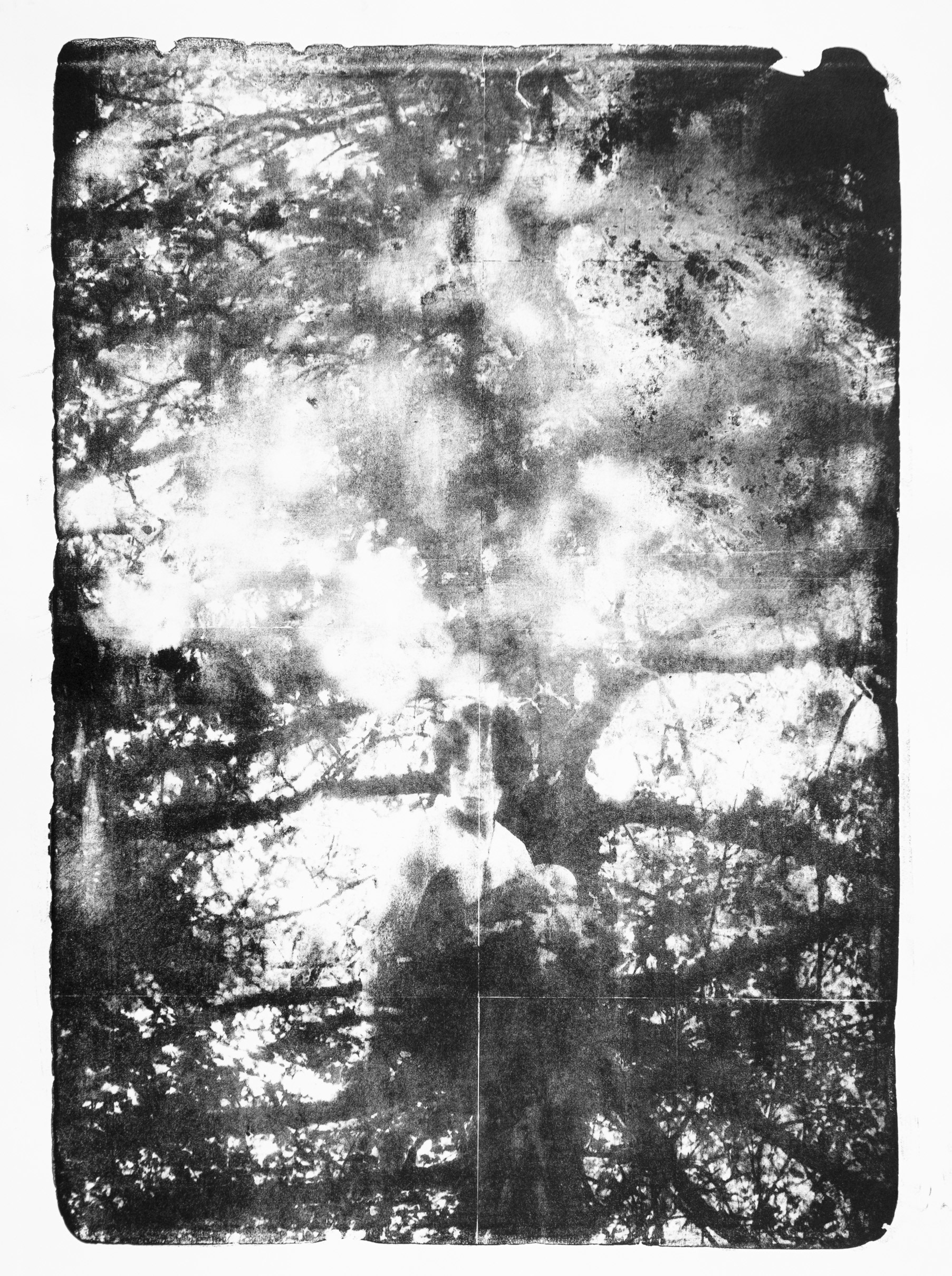 Valere suspendu à un arbre 2
