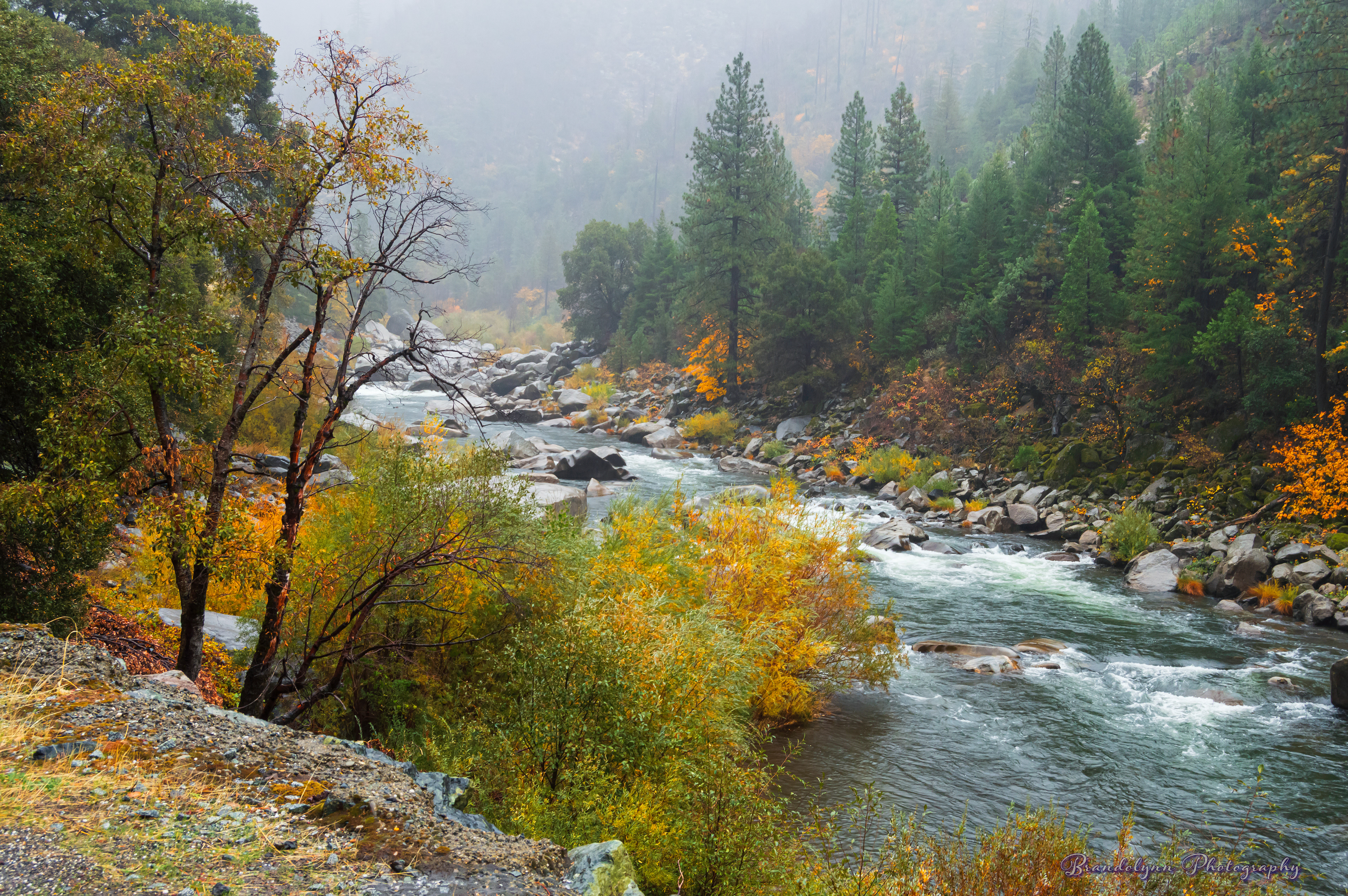 Feather River on highway 70, near Pulga, CA.