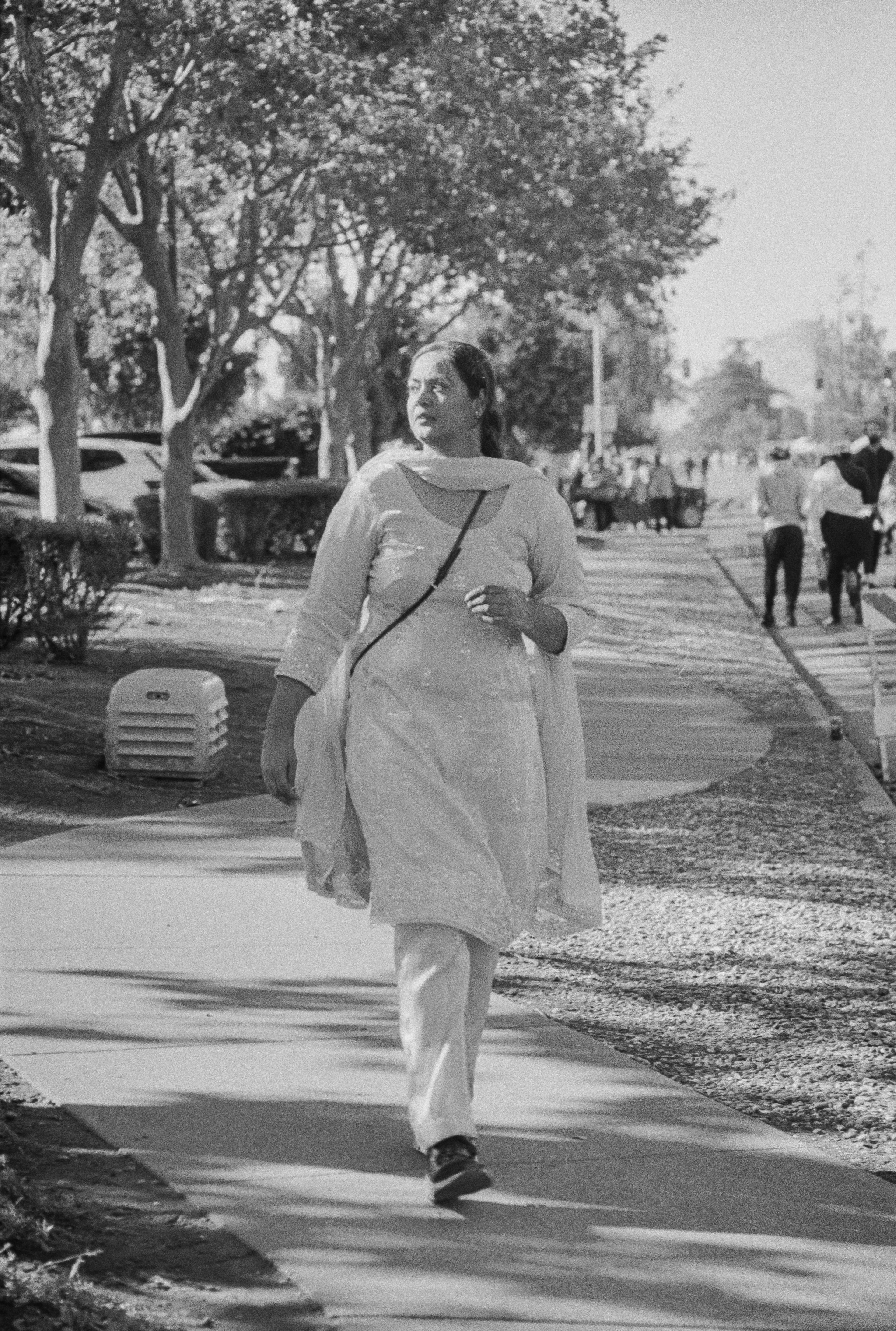 Sikh Festival in Yuba City, CA. Nov. 2024