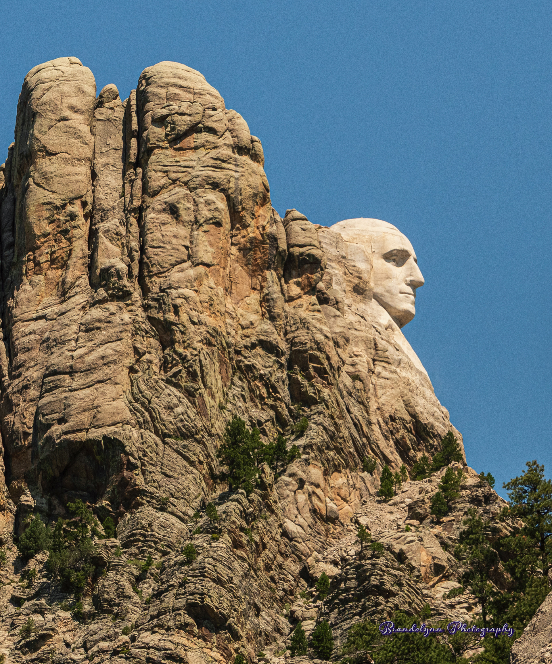 Profile view of Washington. Mt. Rushmore, South Dakota