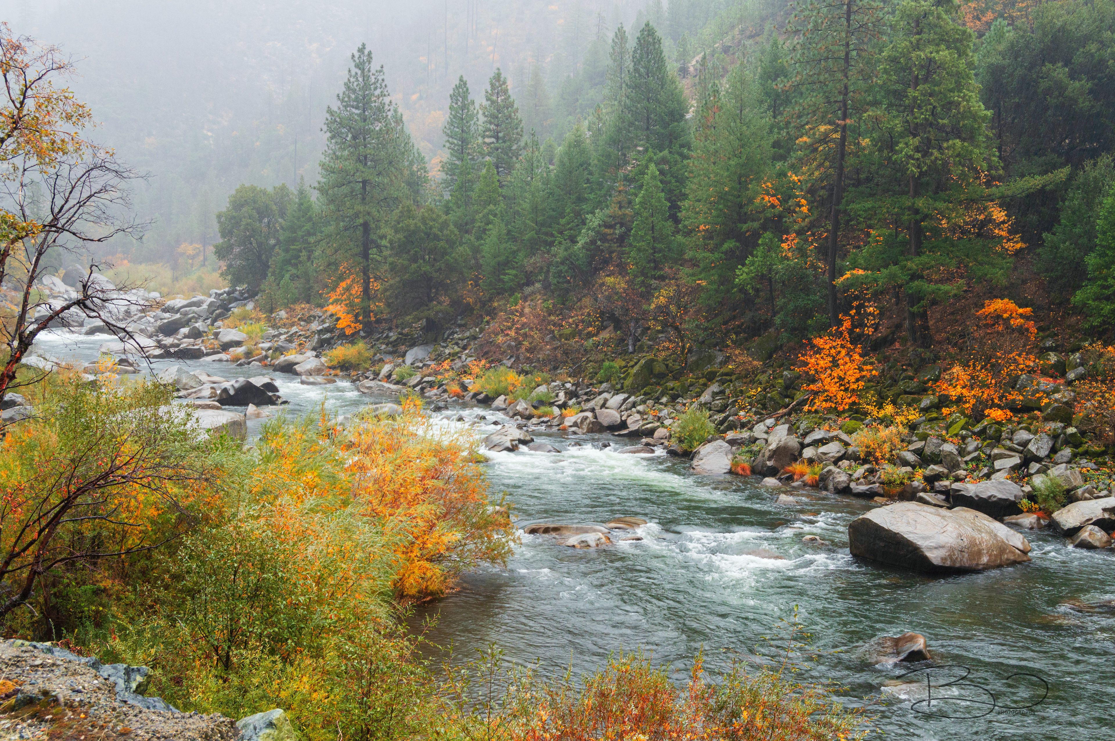 Feather River on highway 70, near Pulga, CA.