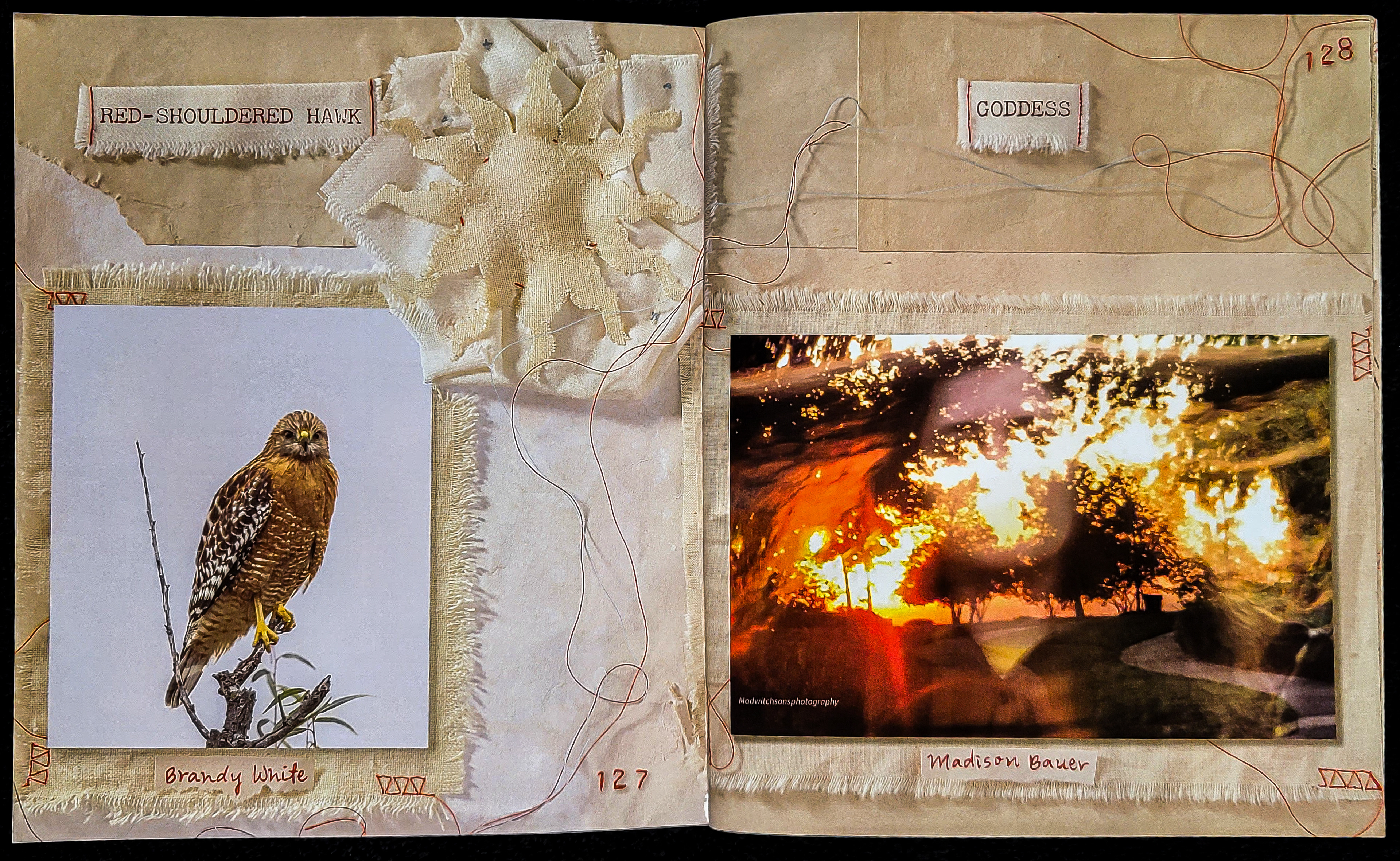 My artwork is the hawk and the layout is mine.