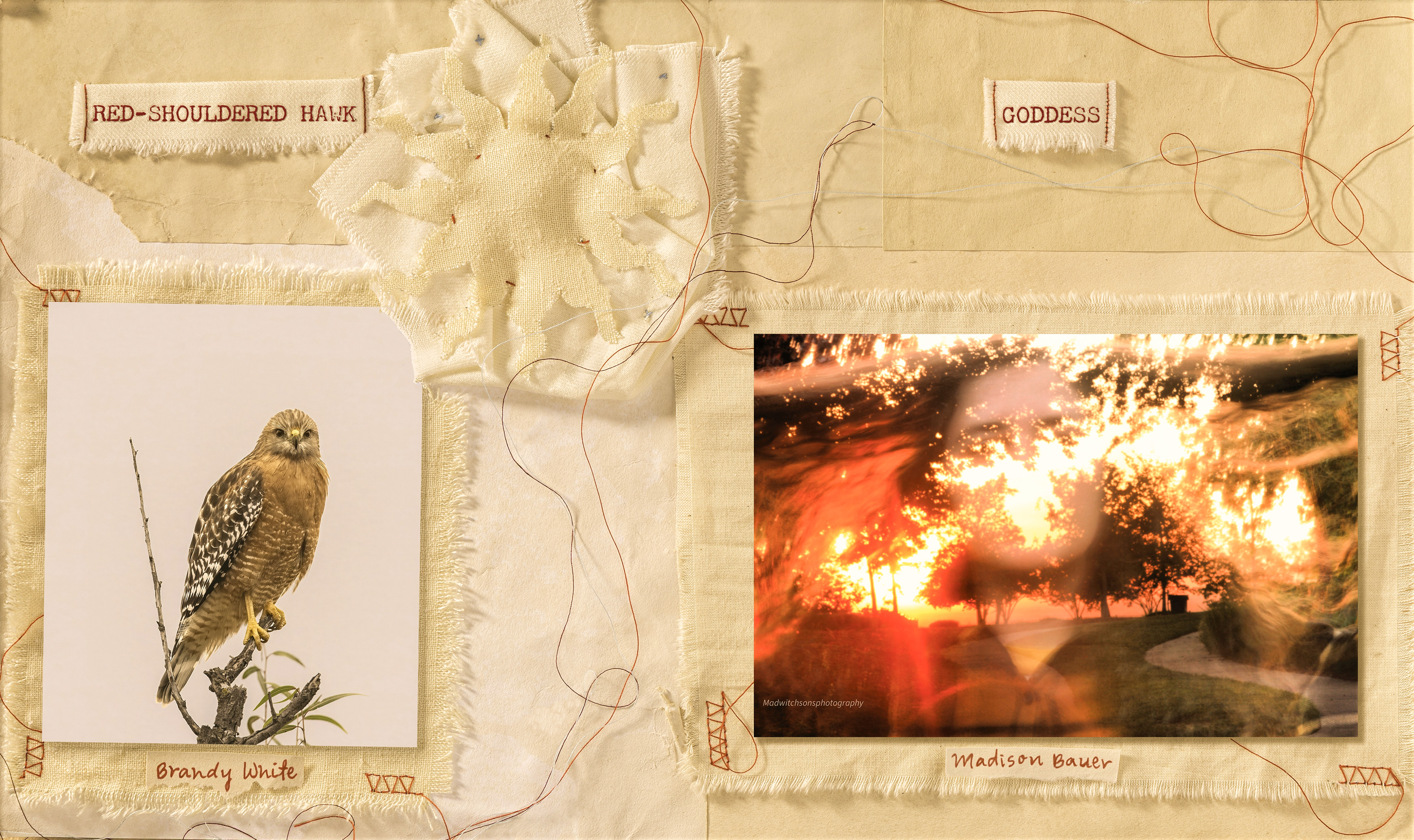 Page layout before binding. My artwork is the hawk and the layout is mine.