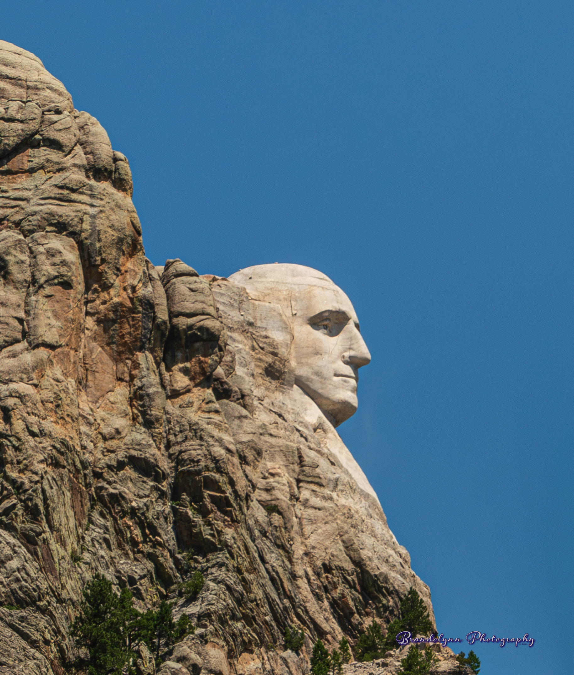 Profile view of Washington. Mt. Rushmore, South Dakota