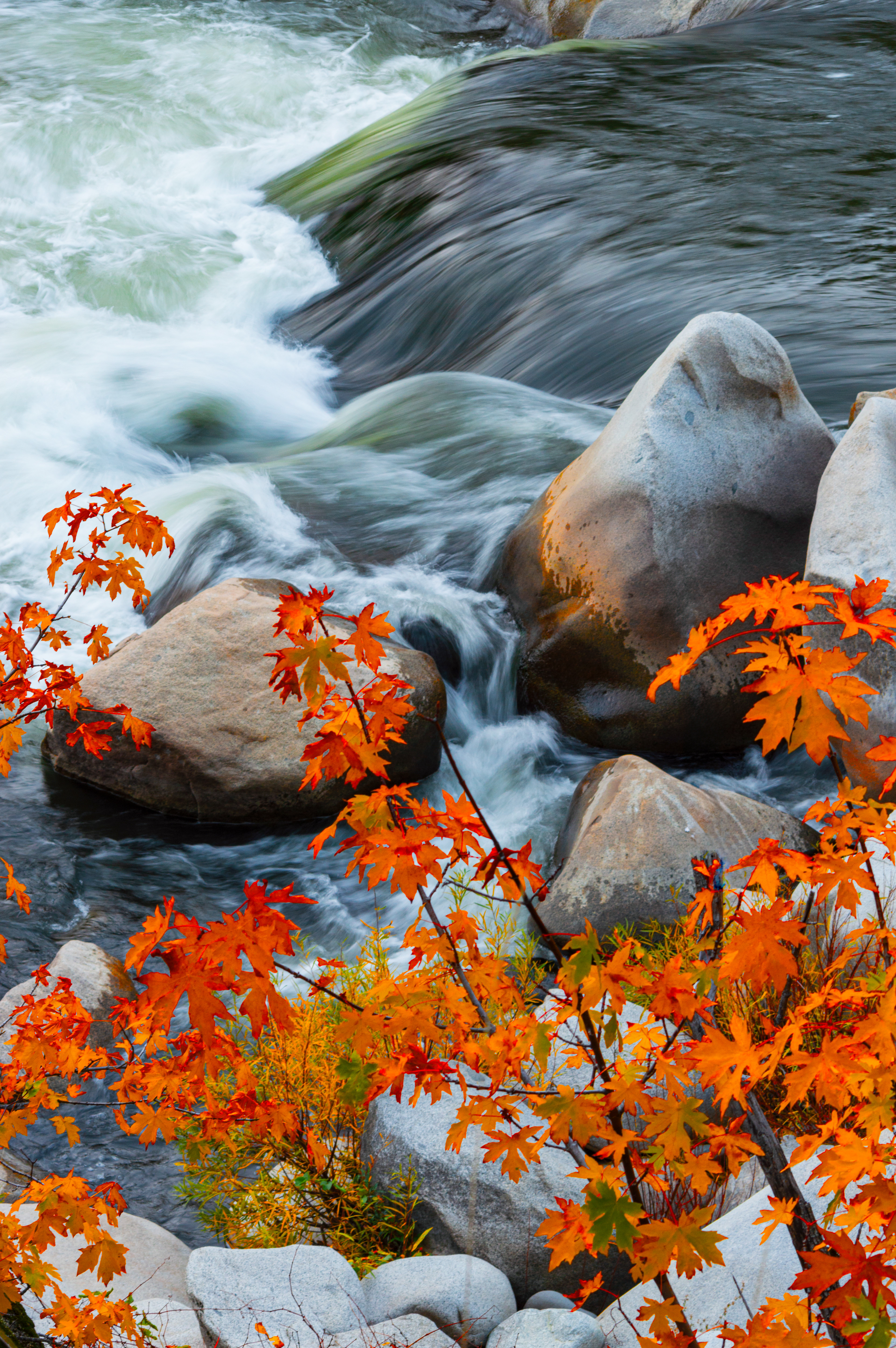Feather River on highway 70, near Pulga, CA.