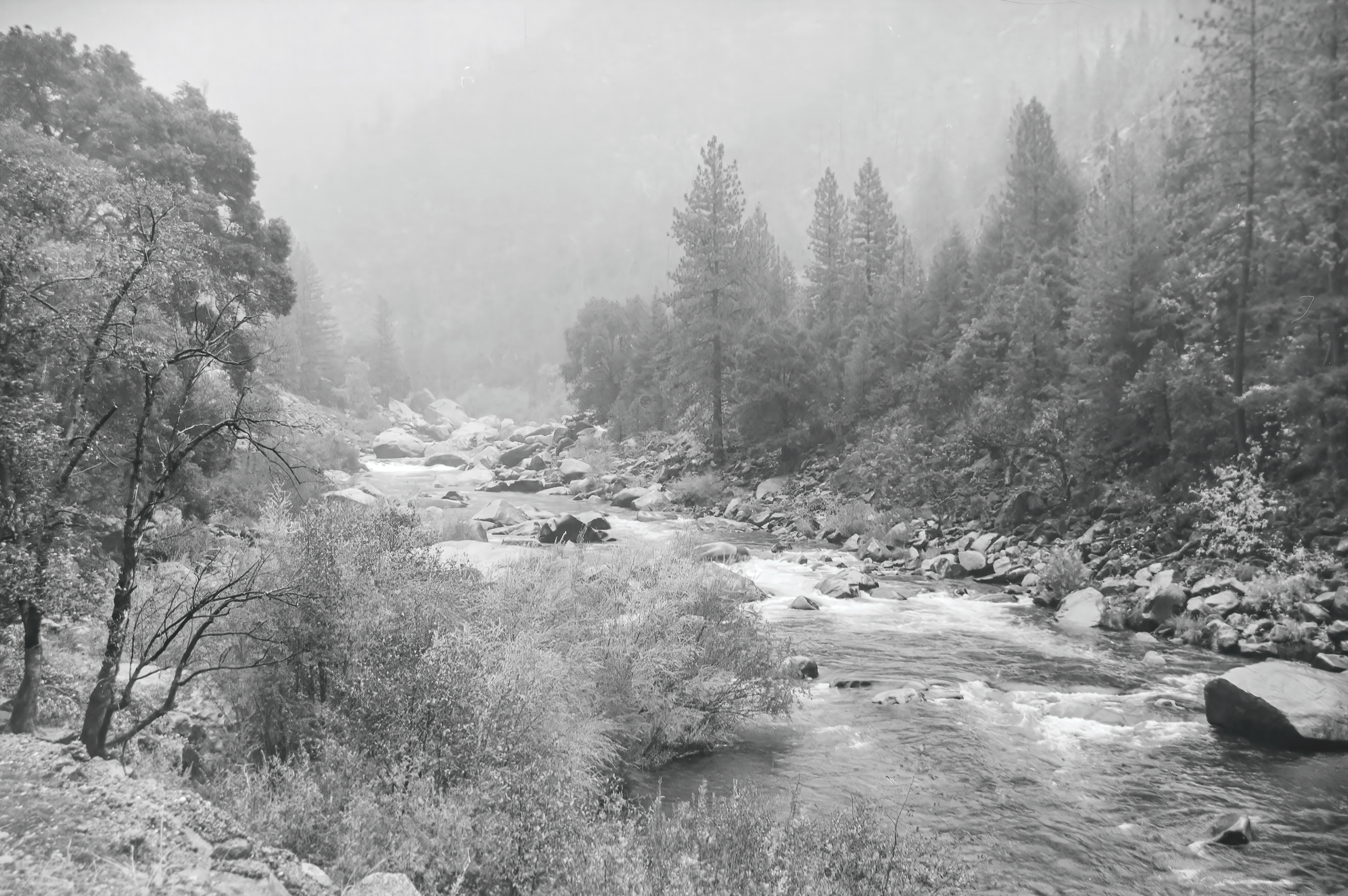 Feather River on highway 70, near Pulga, CA.