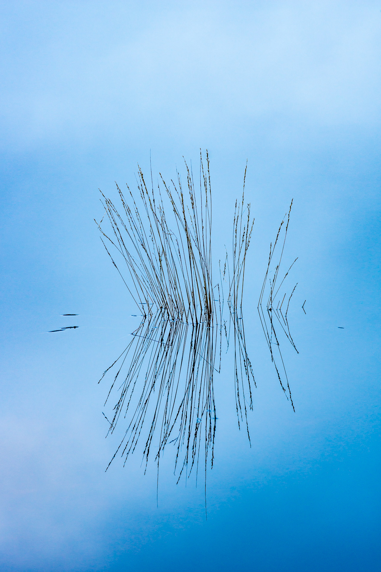 20191207_0004