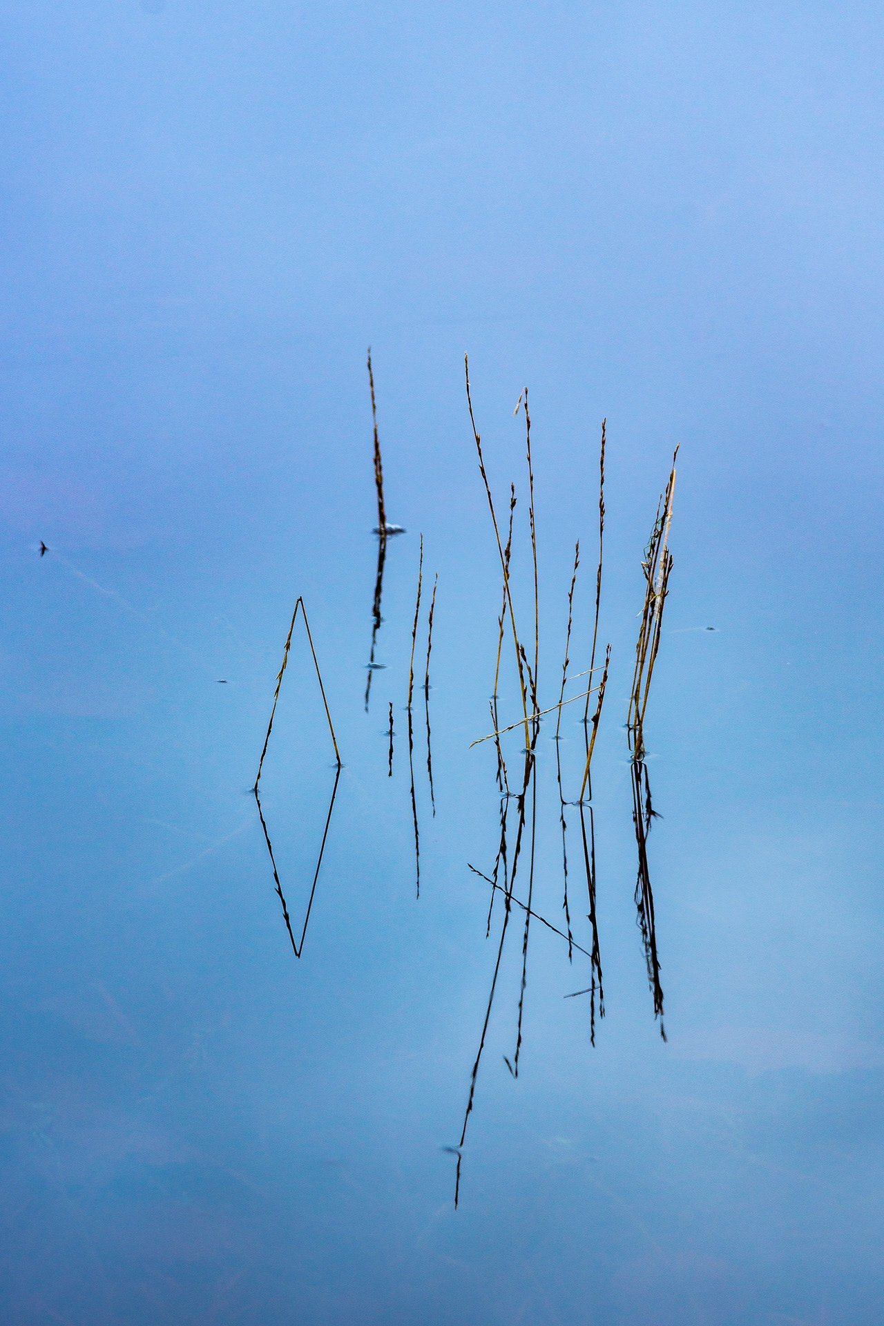 20191207_0007