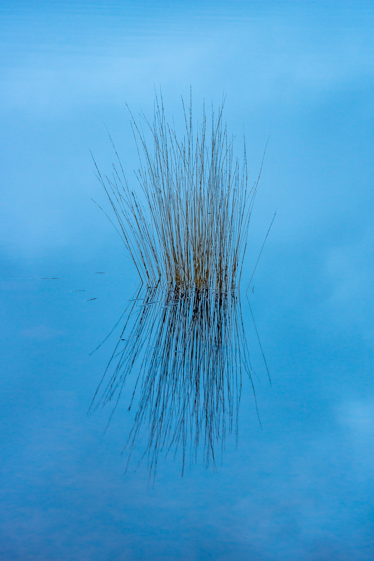 20191207_0001