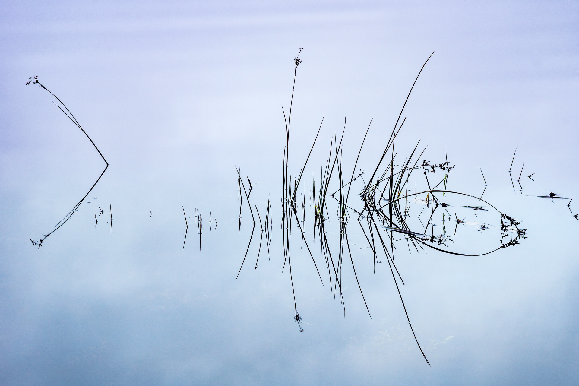 20191207_0011