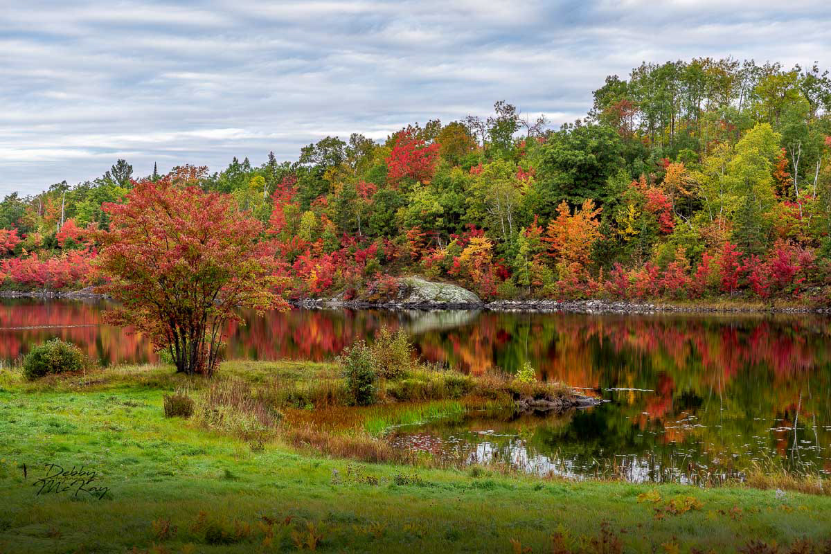 Autumn Reflections