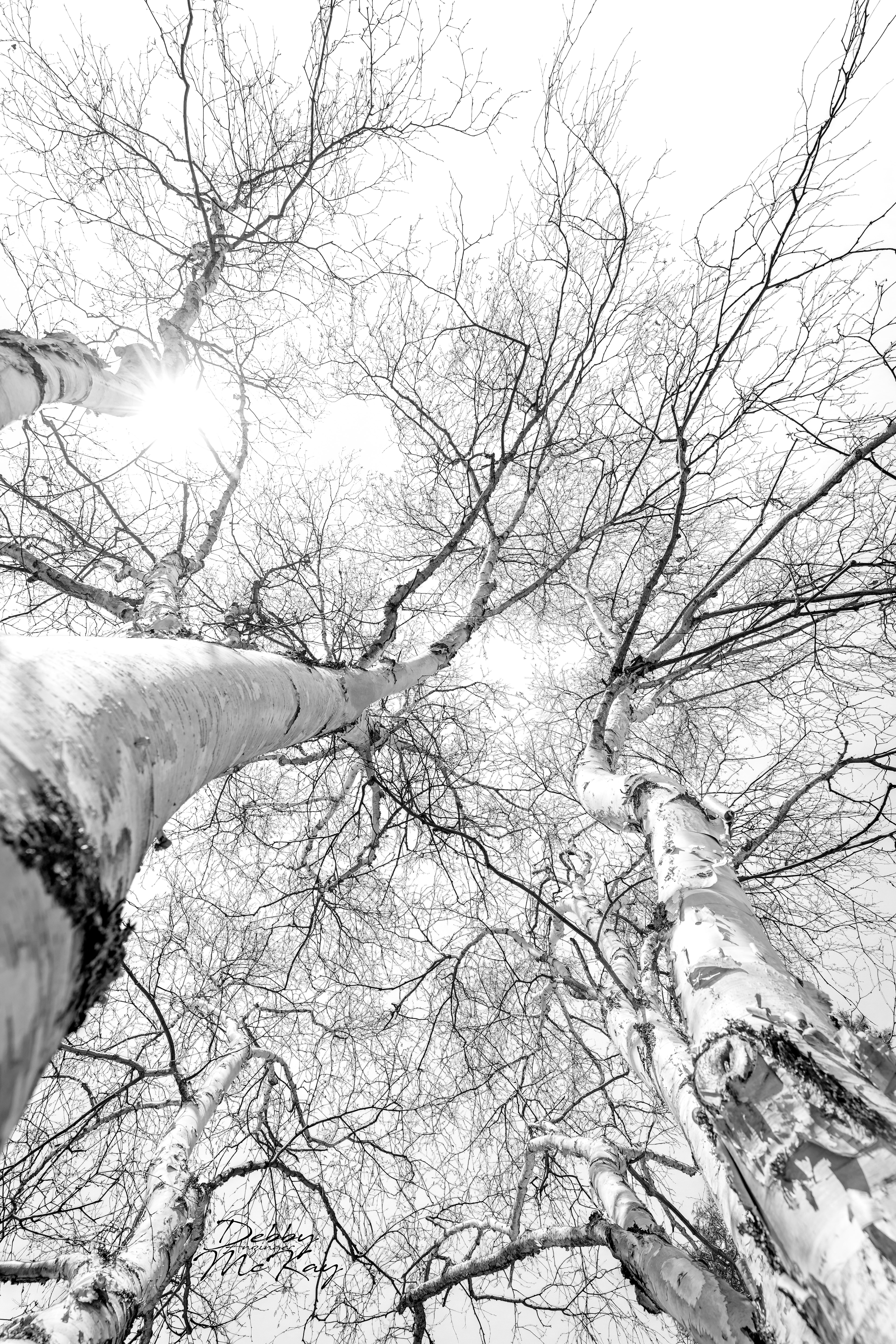 Keep Reaching for the top