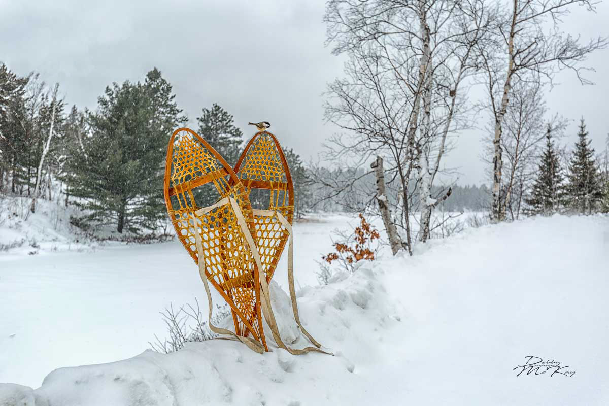 Snowshoes