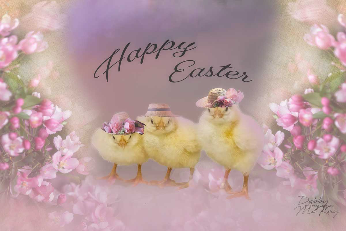 Easter Chicks